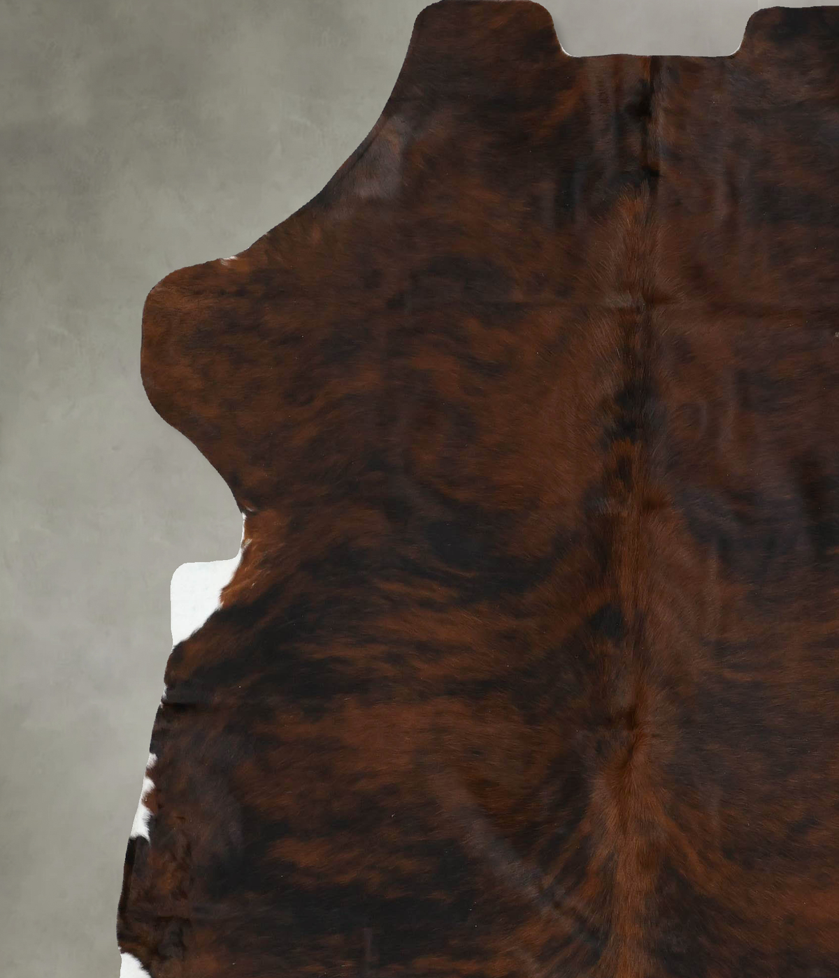 Dark Brindle XX-Large European Cowhide Rug 7'9"H x 6'7"W #B22454 by Hudson Hides