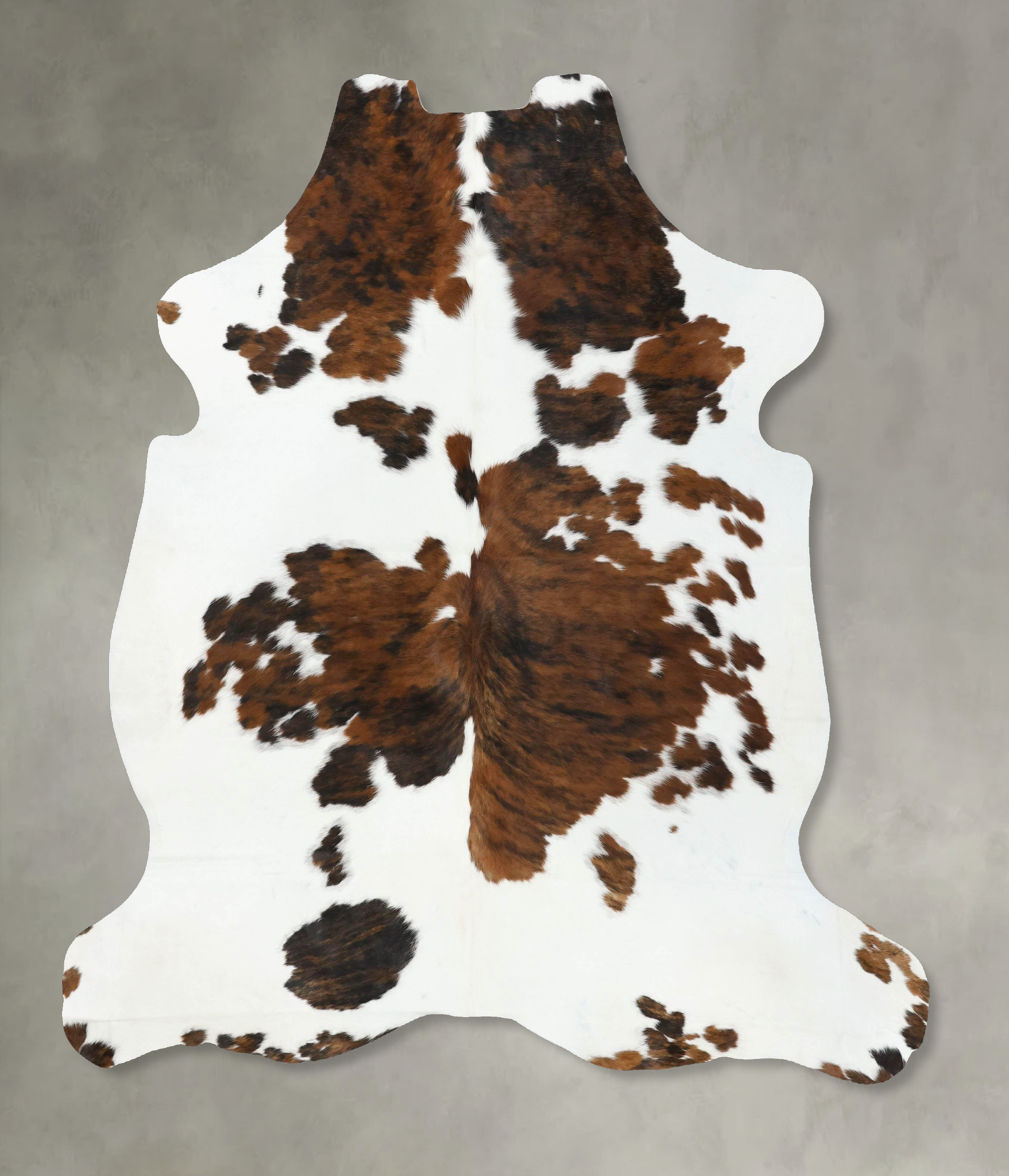 Tricolor Cowhide Rug #B22456
