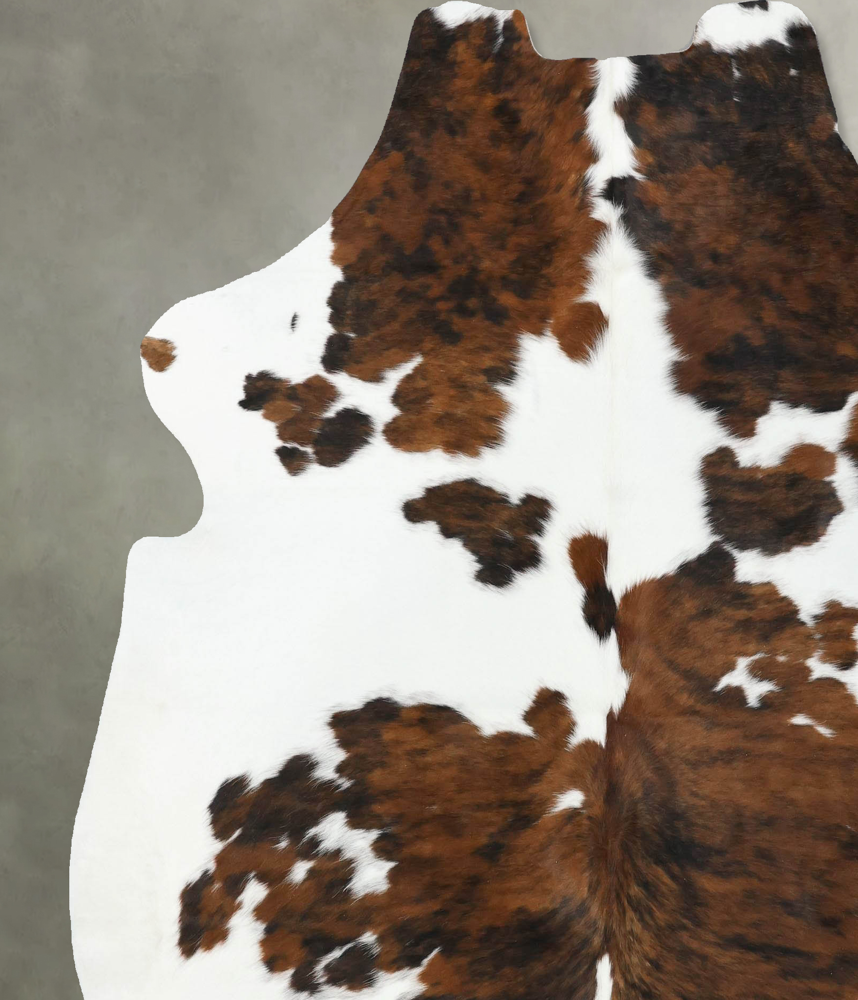 Tricolor Cowhide Rug #B22456