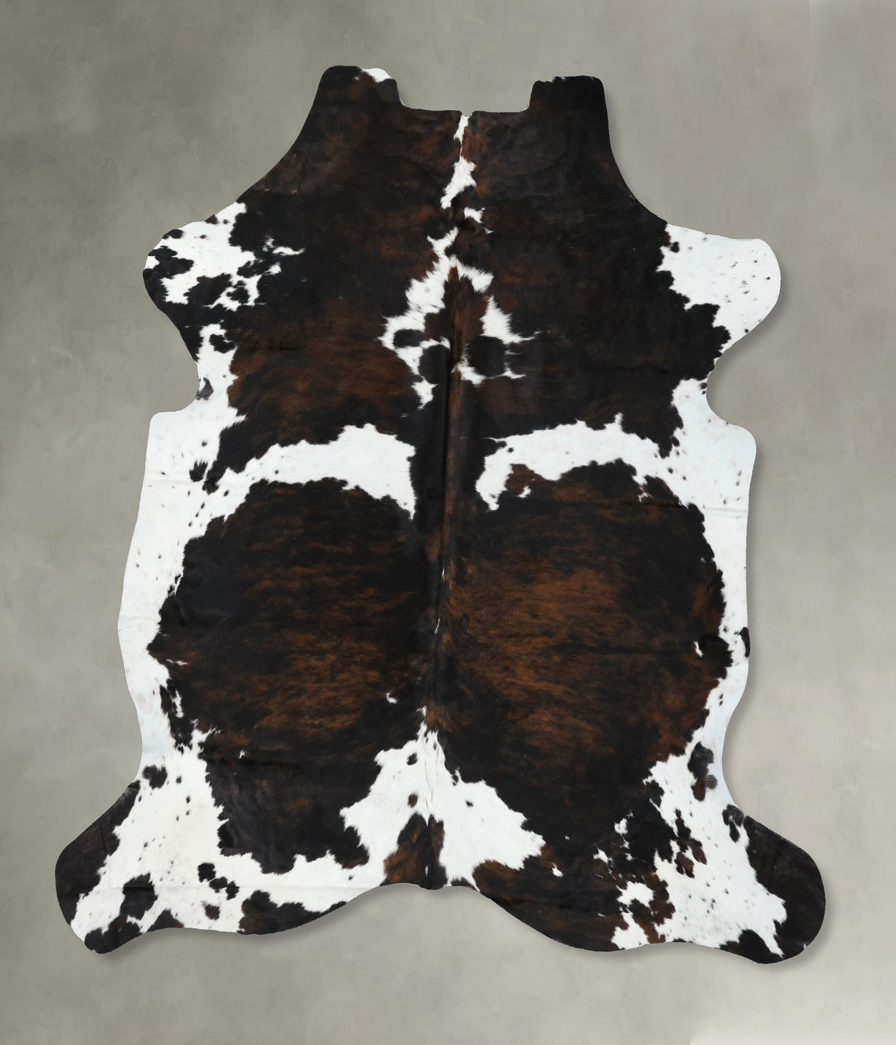 Tricolor Cowhide Rug #B22458