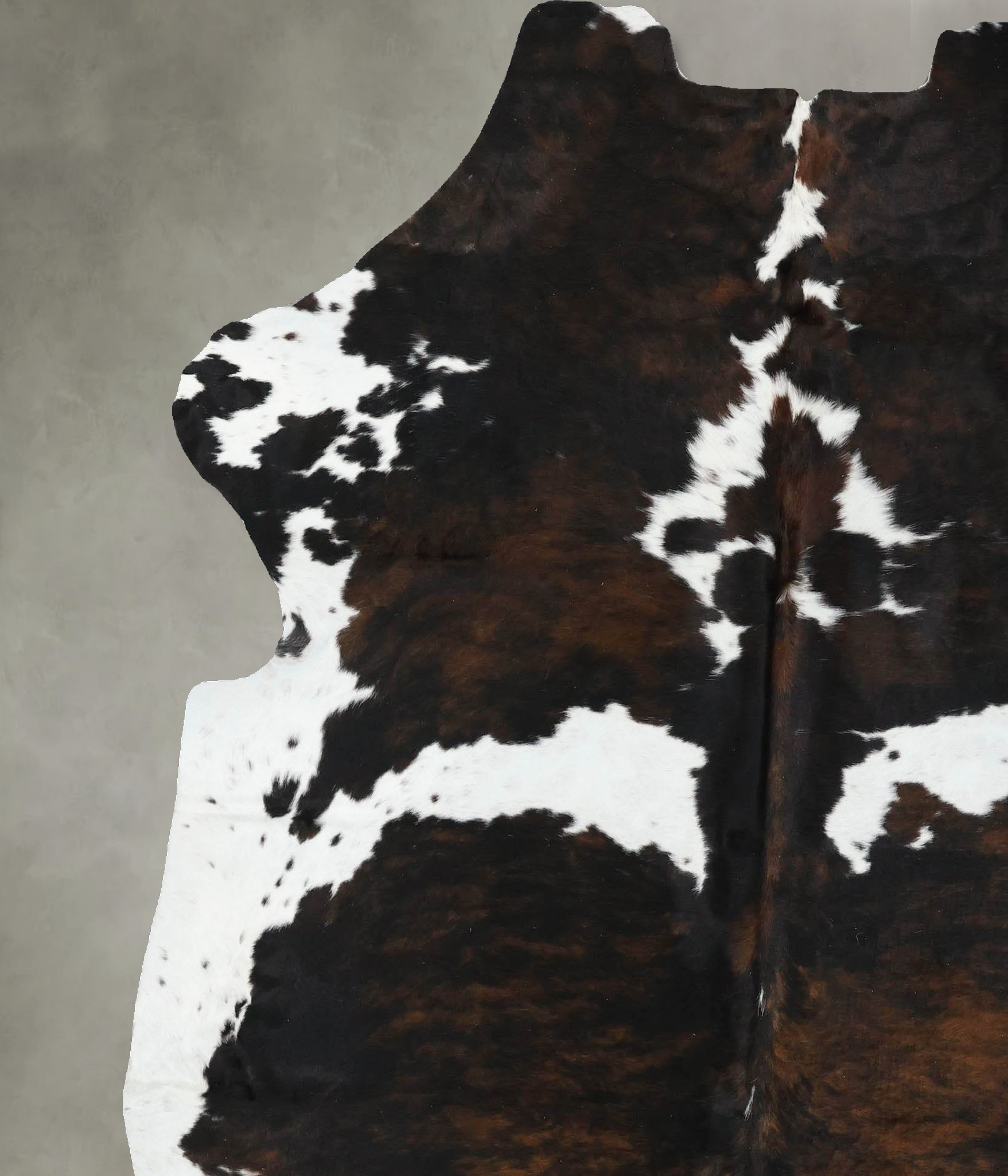 Tricolor Cowhide Rug #B22458