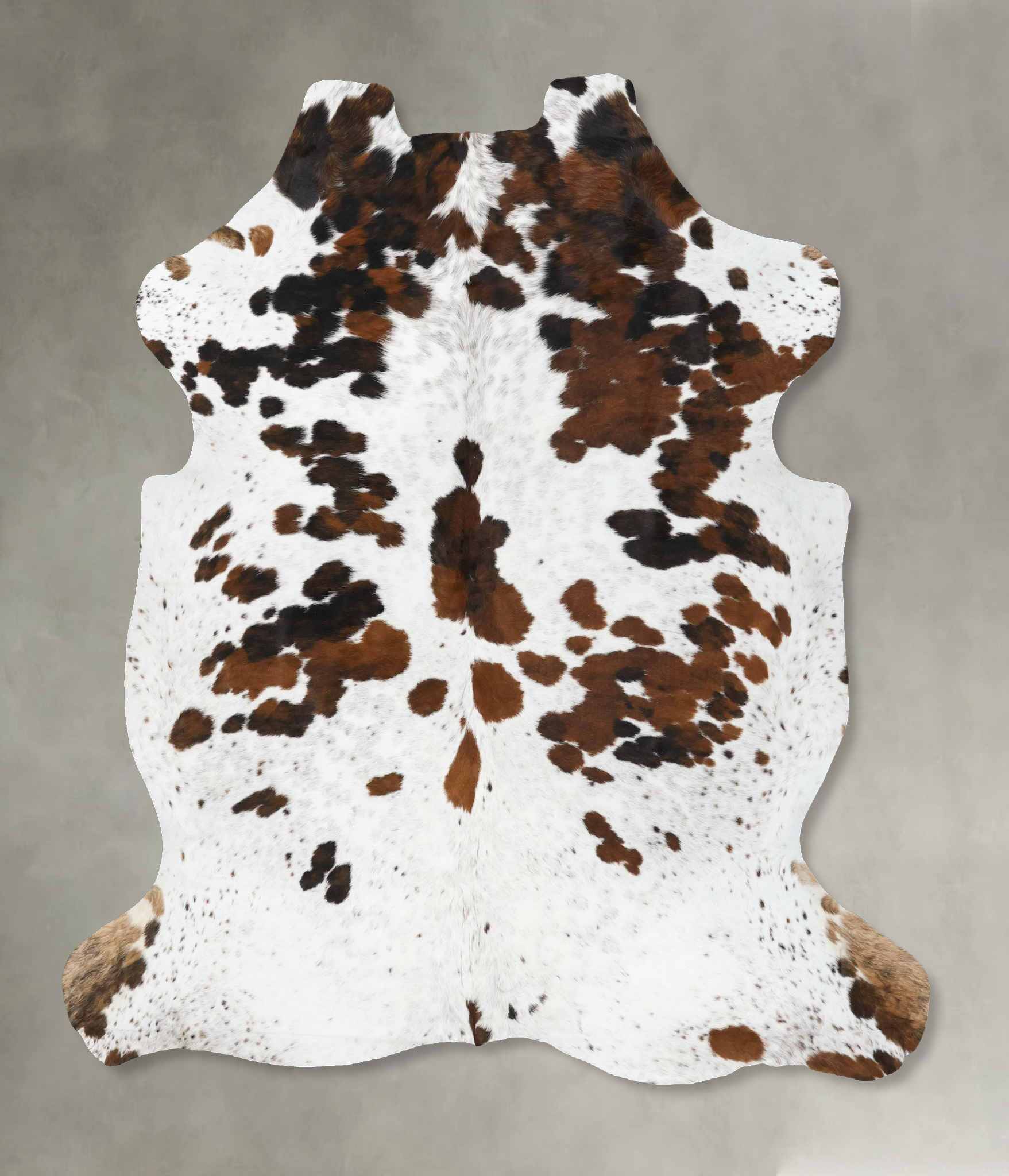Tricolor Cowhide Rug #B22461