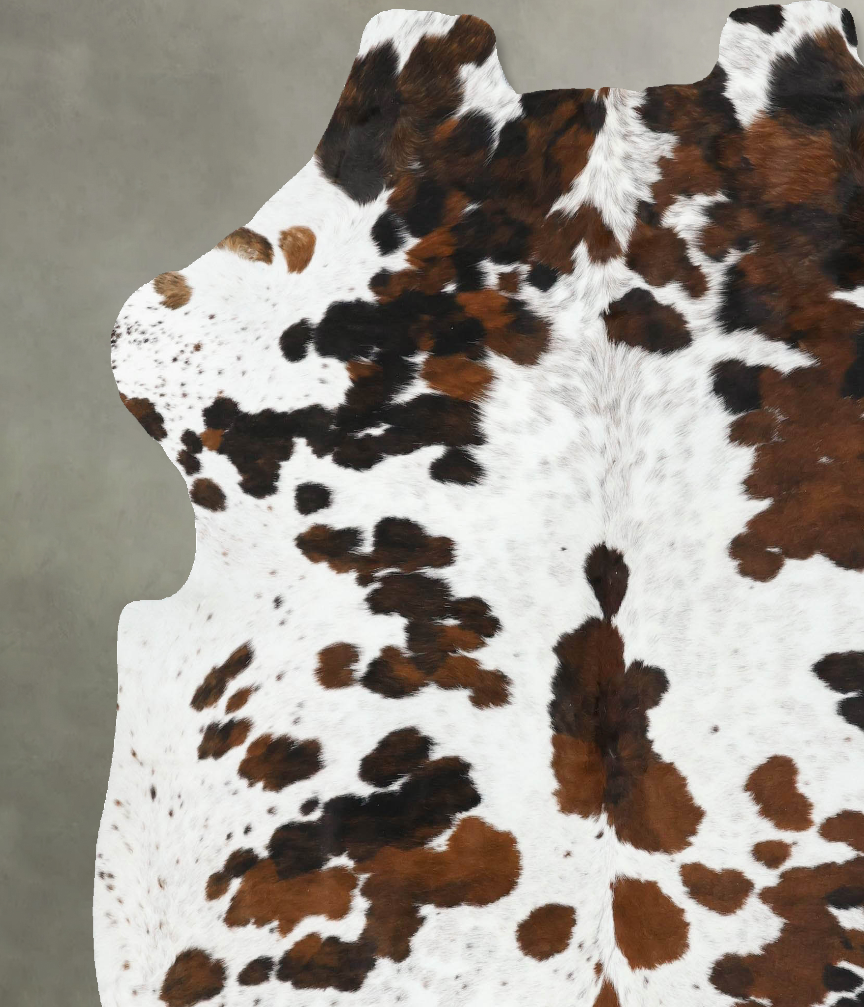 Tricolor Cowhide Rug #B22461