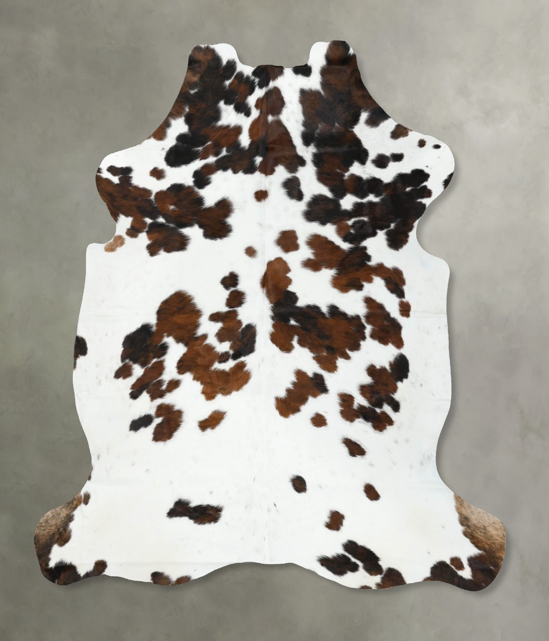 Tricolor Cowhide Rug #B22464
