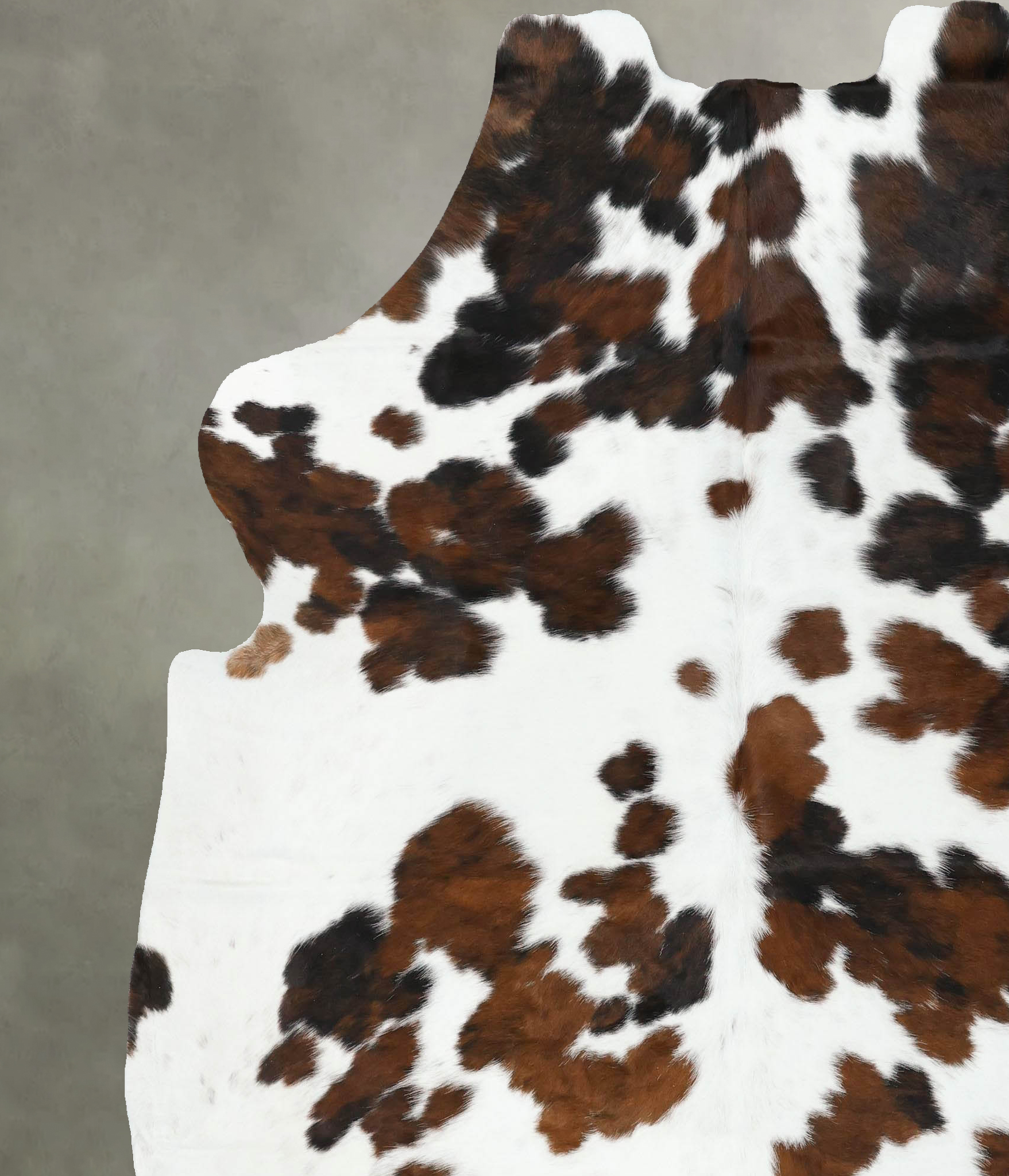 Tricolor Cowhide Rug #B22464