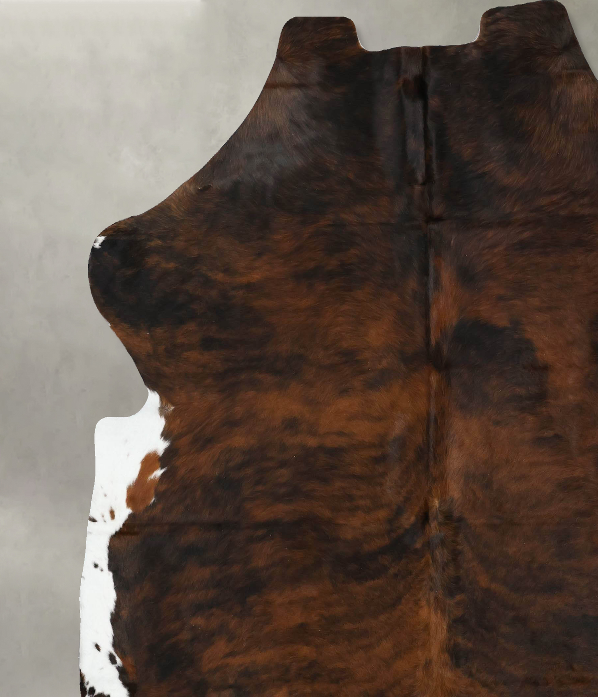 Dark Brindle XX-Large European Cowhide Rug 7'11"H x 7'1"W #B22468 by Hudson Hides