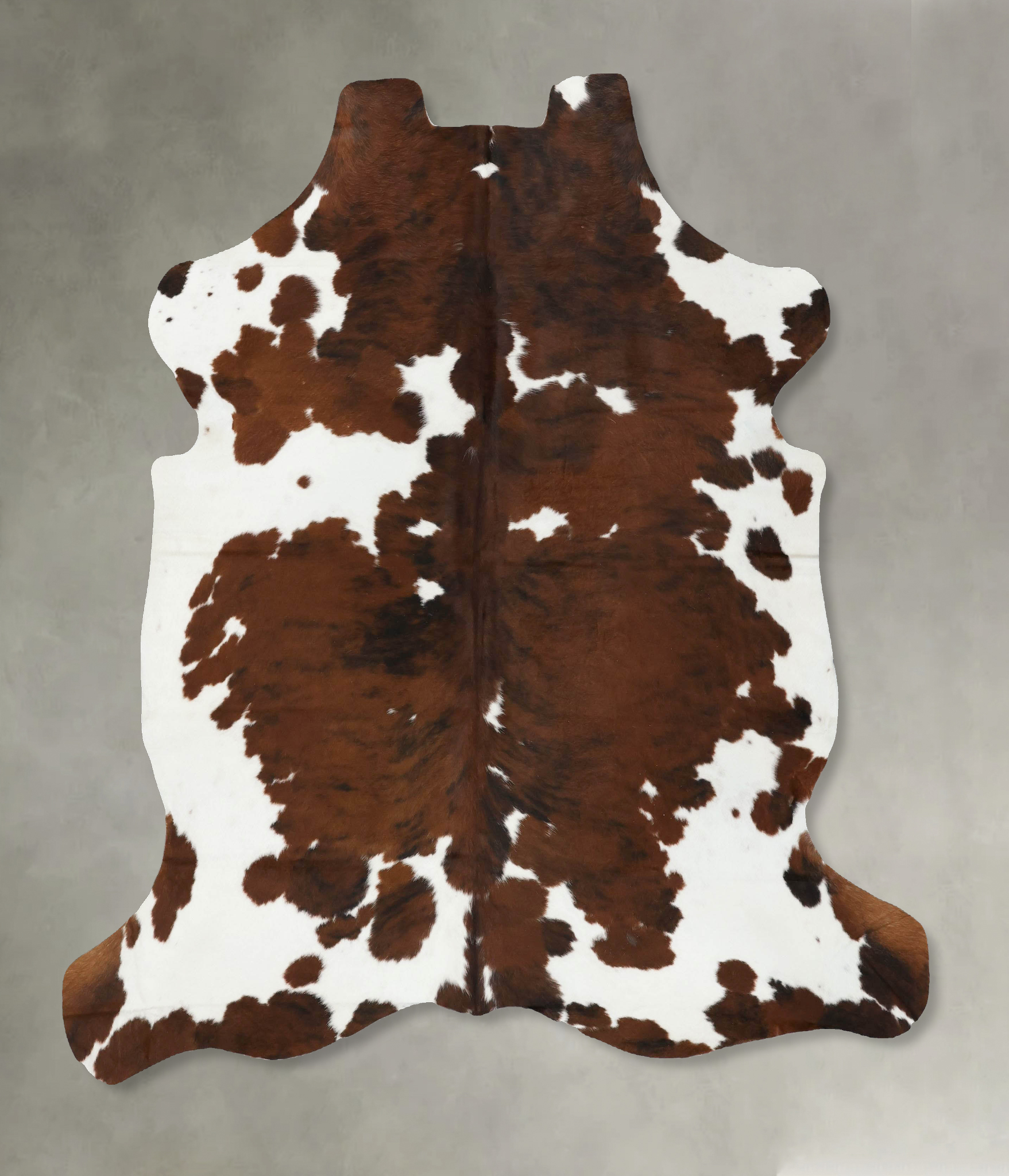 Tricolor Cowhide Rug #B22476