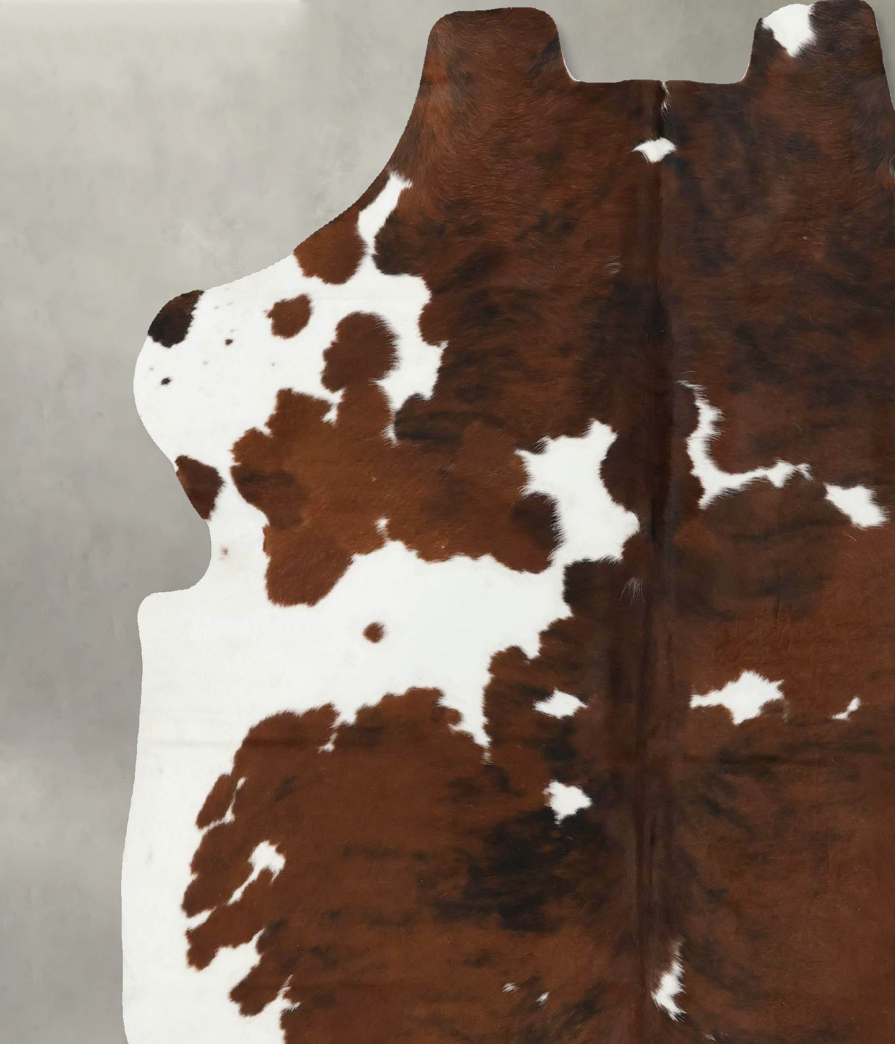 Tricolor Cowhide Rug #B22476