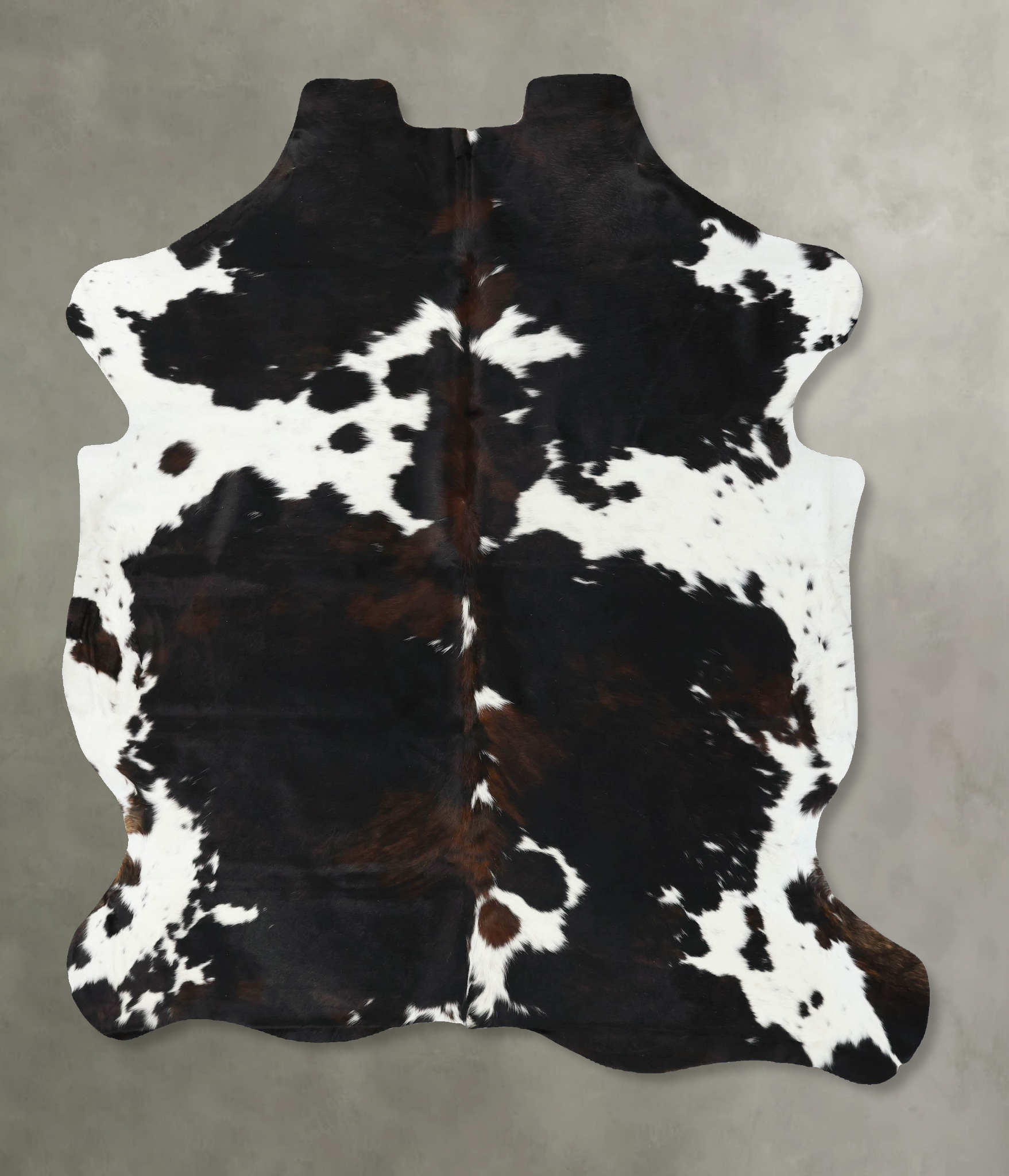 Tricolor Cowhide Rug #B22477