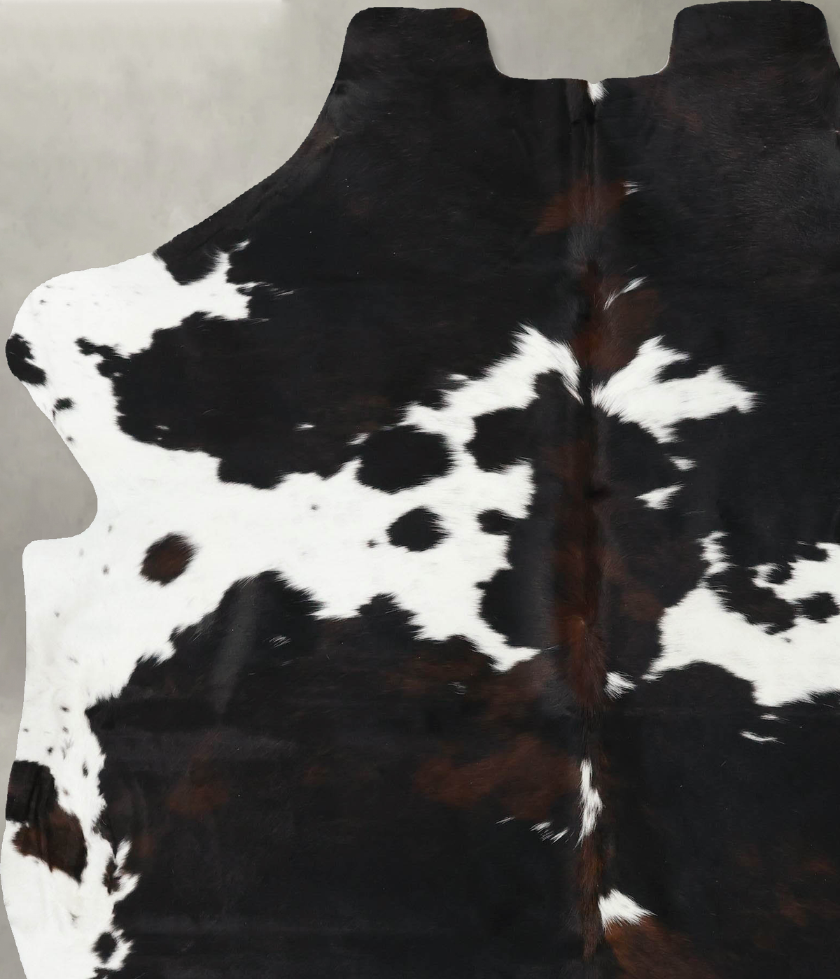 Tricolor X-Large European Cowhide Rug 7'5"H x 6'1"W #B22477 by Hudson Hides