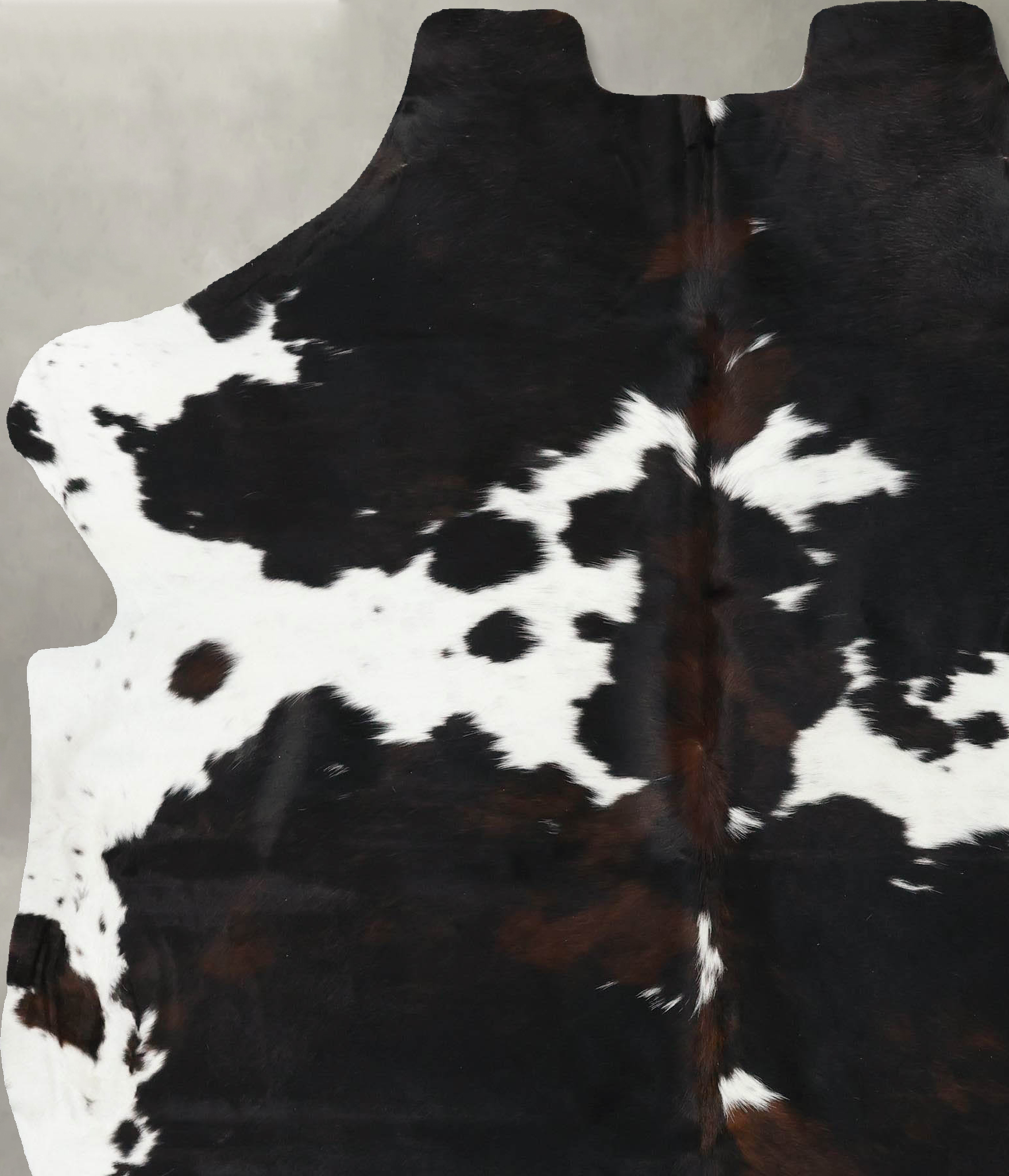Tricolor Cowhide Rug #B22477