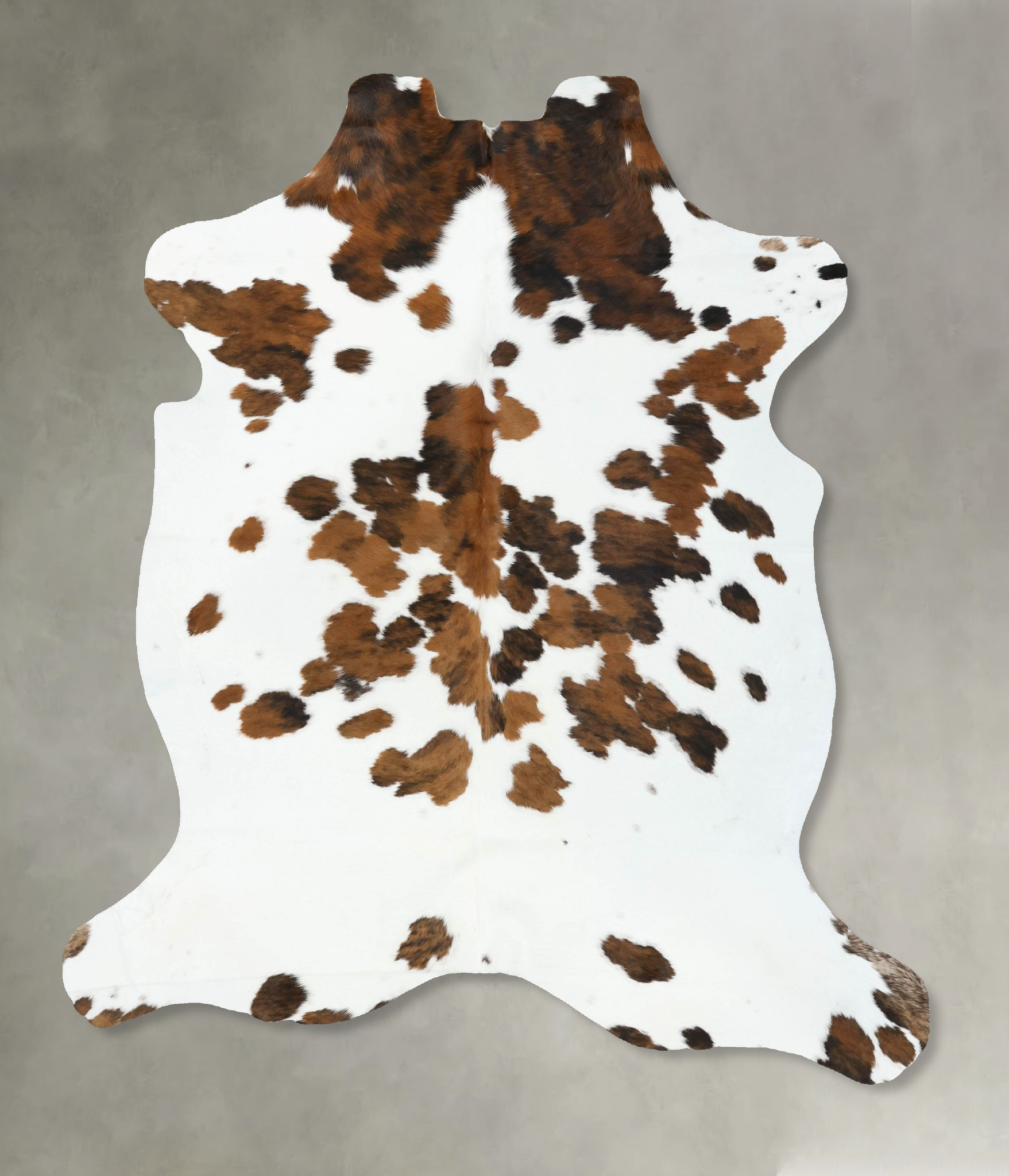 Tricolor Cowhide Rug #B22479