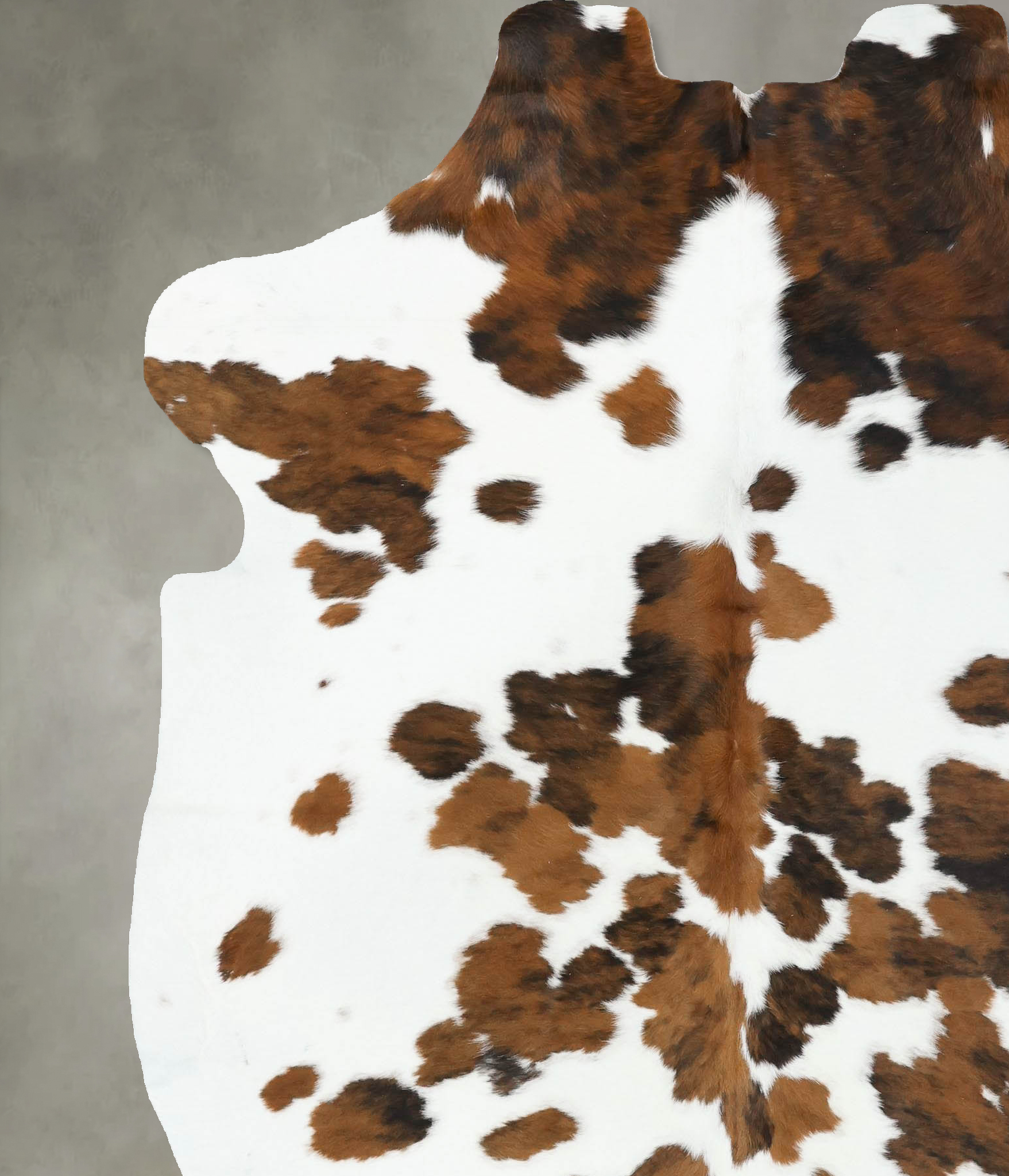 Tricolor Cowhide Rug #B22479