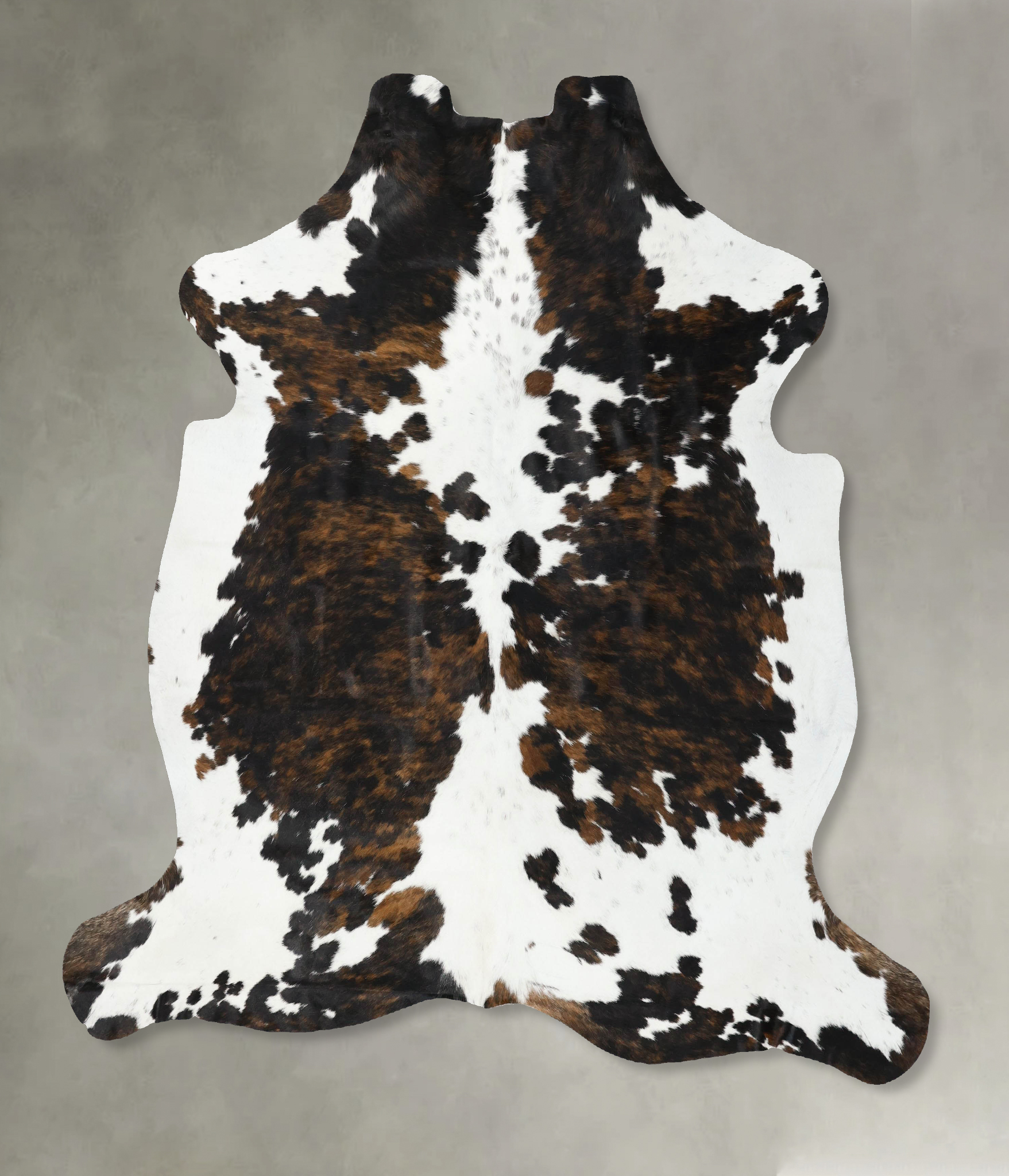 Tricolor Cowhide Rug #B22480