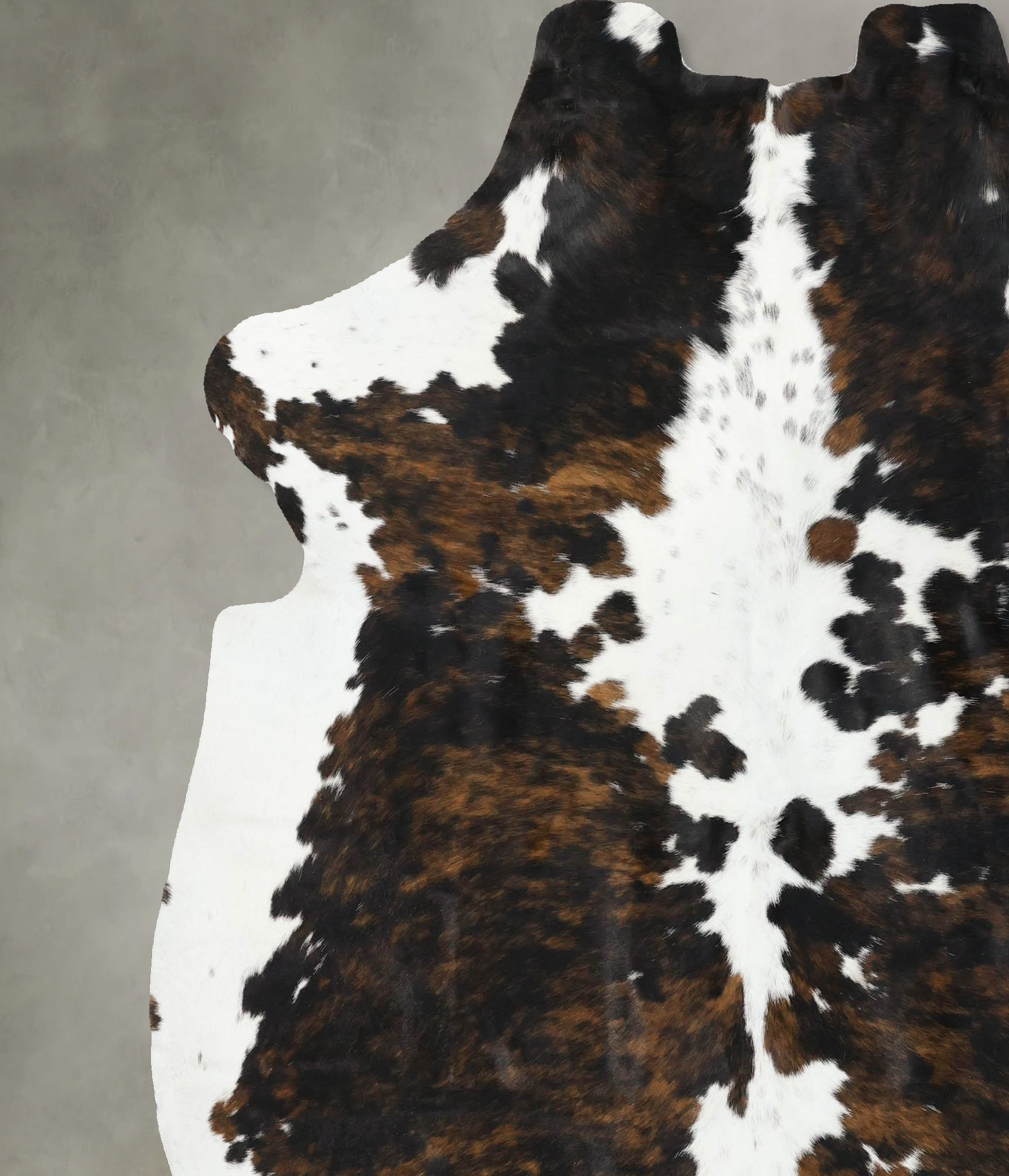Tricolor Cowhide Rug #B22480