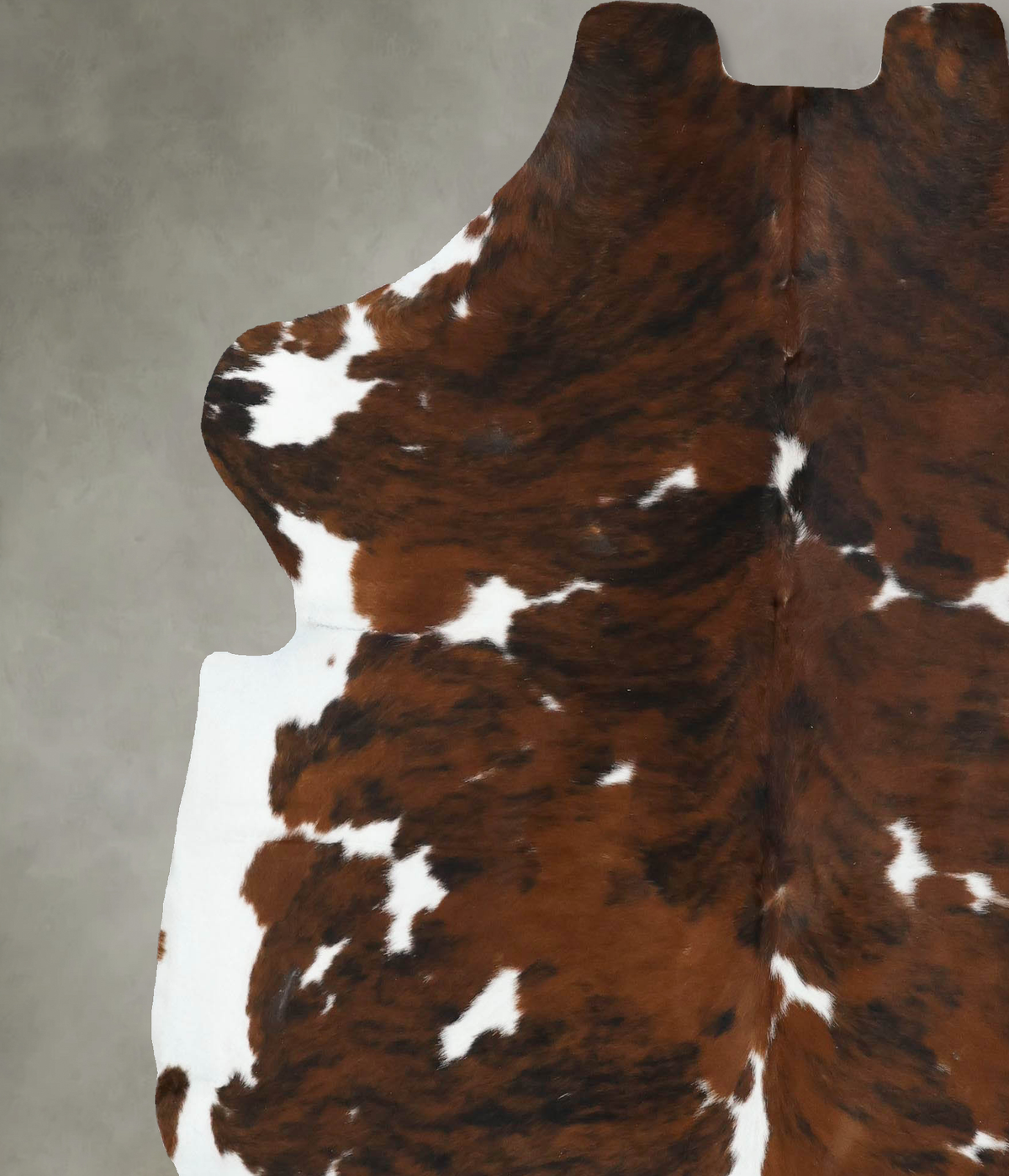 Tricolor X-Large European Cowhide Rug 7'2"H x 6'6"W #B22482 by Hudson Hides