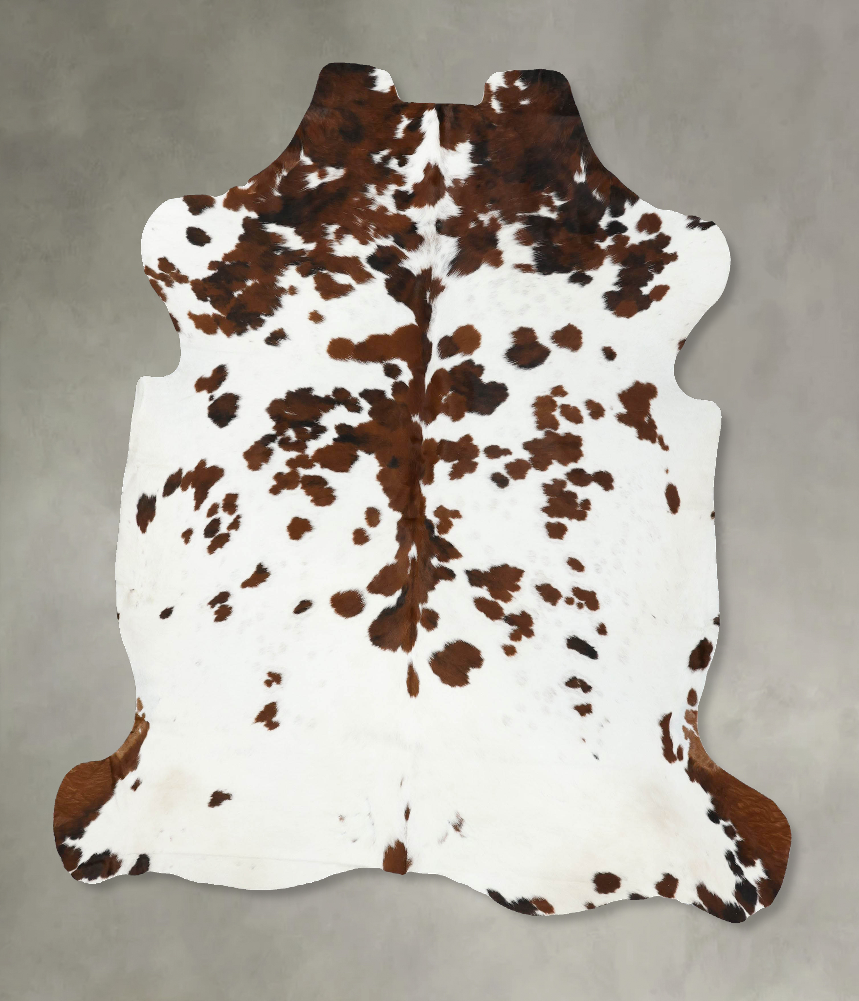 Tricolor Cowhide Rug #B22483