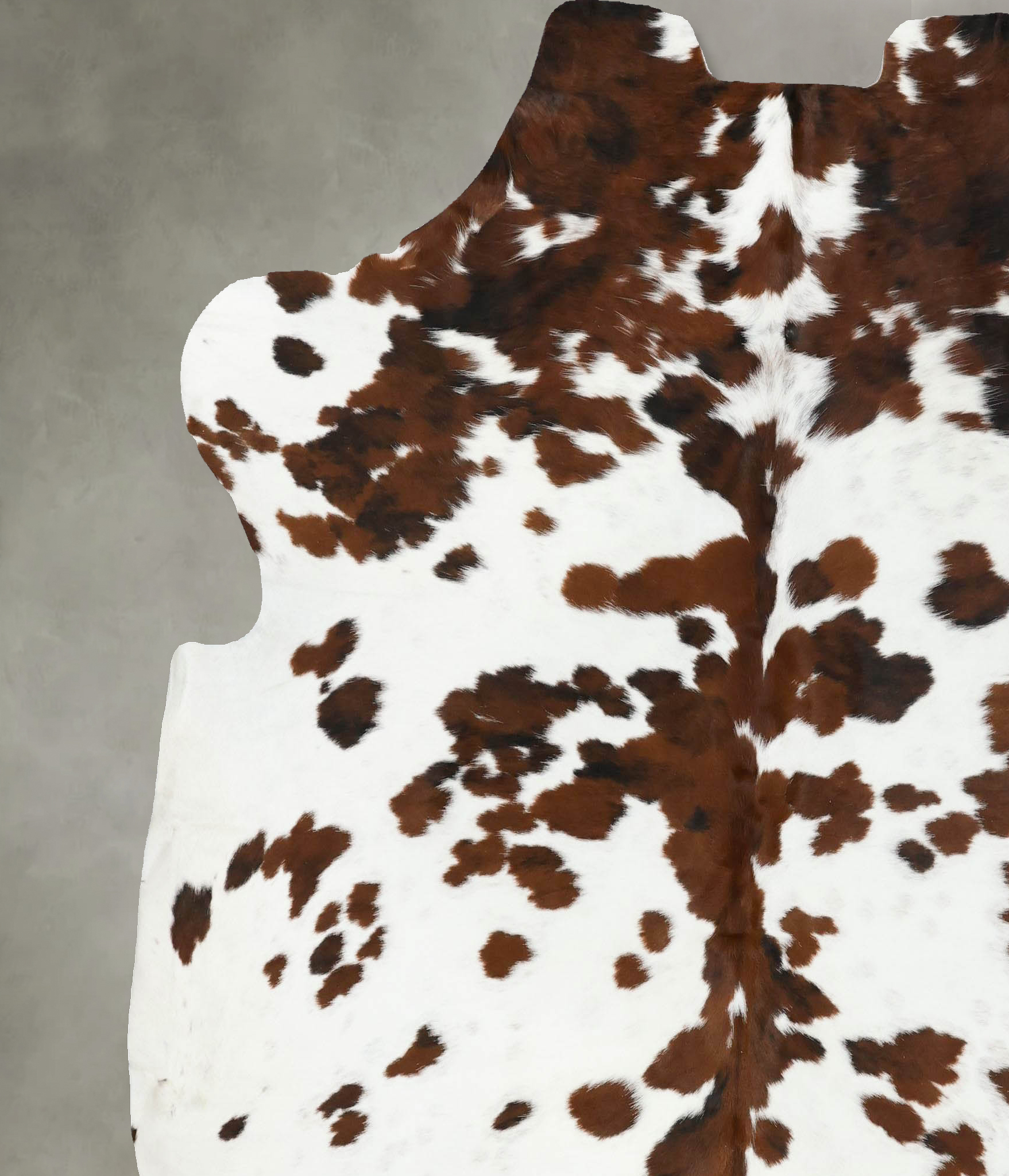 Tricolor Cowhide Rug #B22483