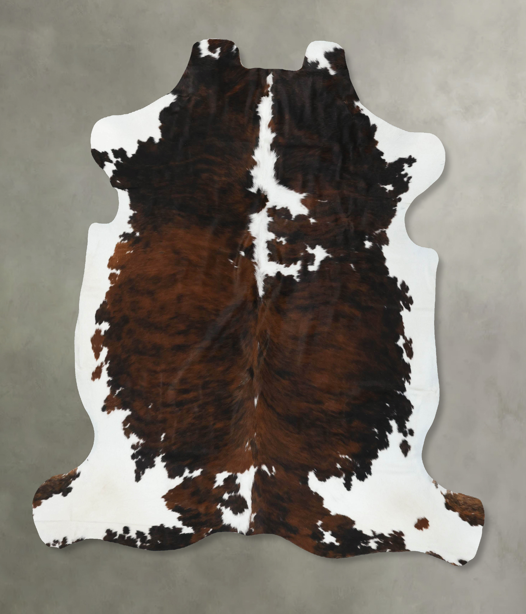 Tricolor Cowhide Rug #B22484