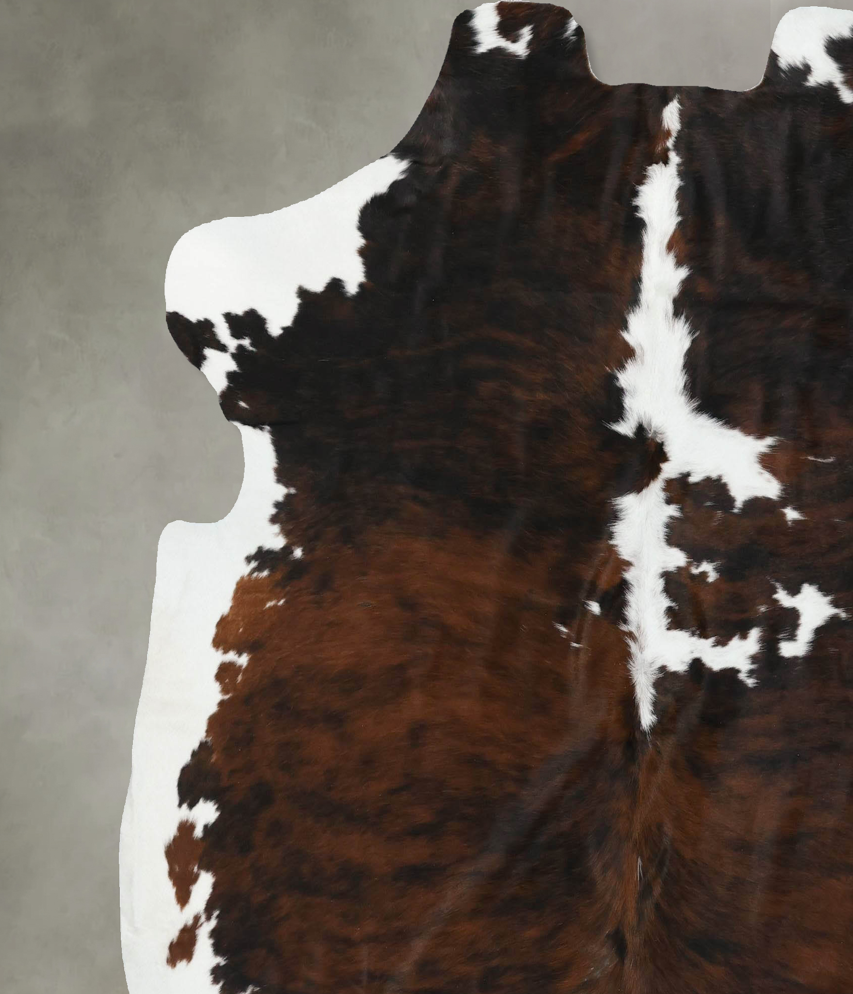 Tricolor Cowhide Rug #B22484