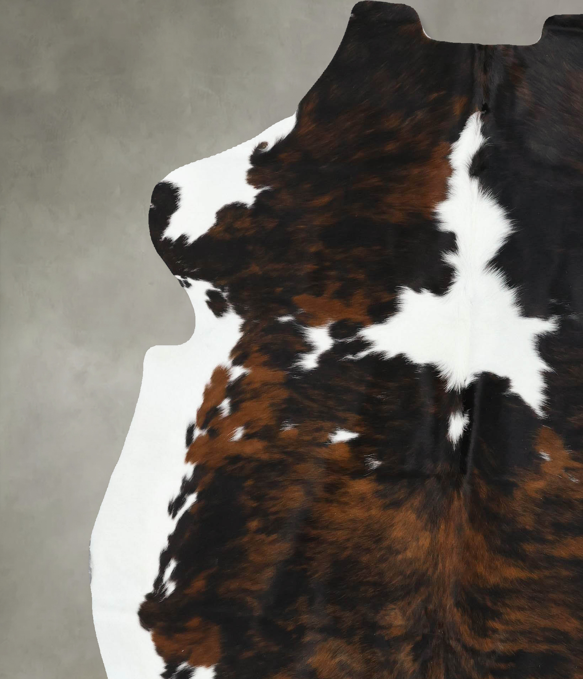 Tricolor X-Large European Cowhide Rug 7'2"H x 6'5"W #B22486 by Hudson Hides