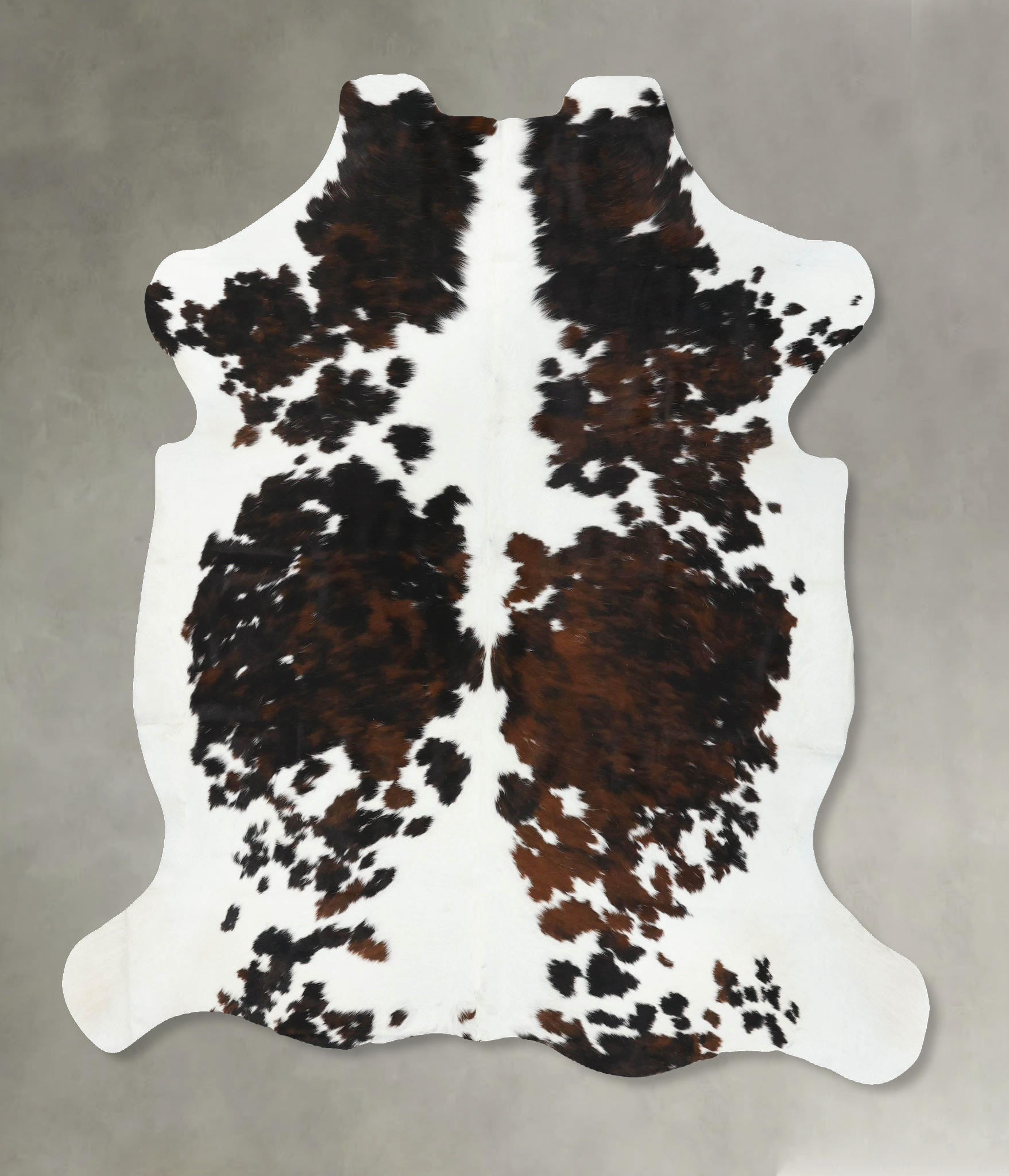 Tricolor Cowhide Rug #B22489