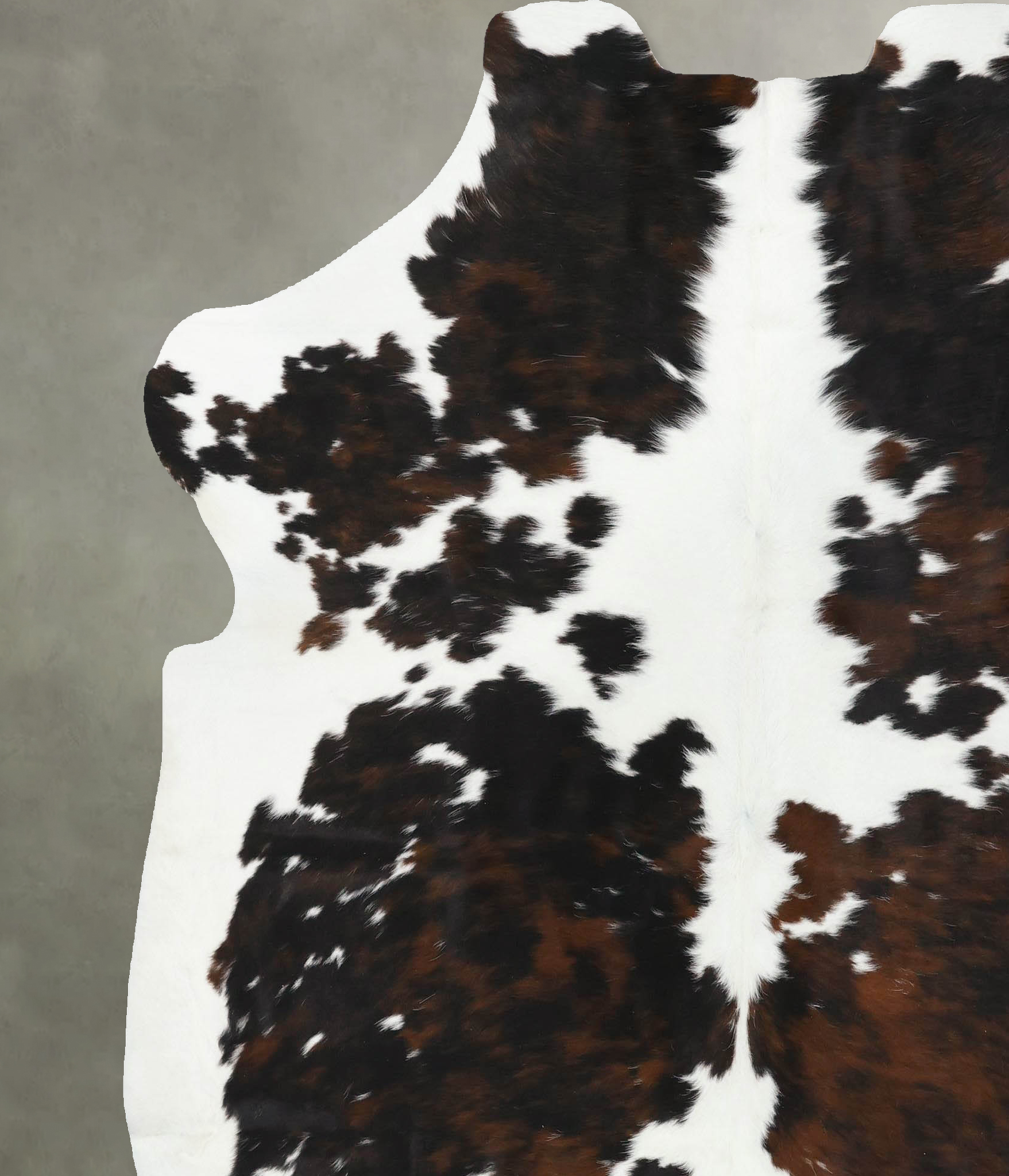 Tricolor Cowhide Rug #B22489