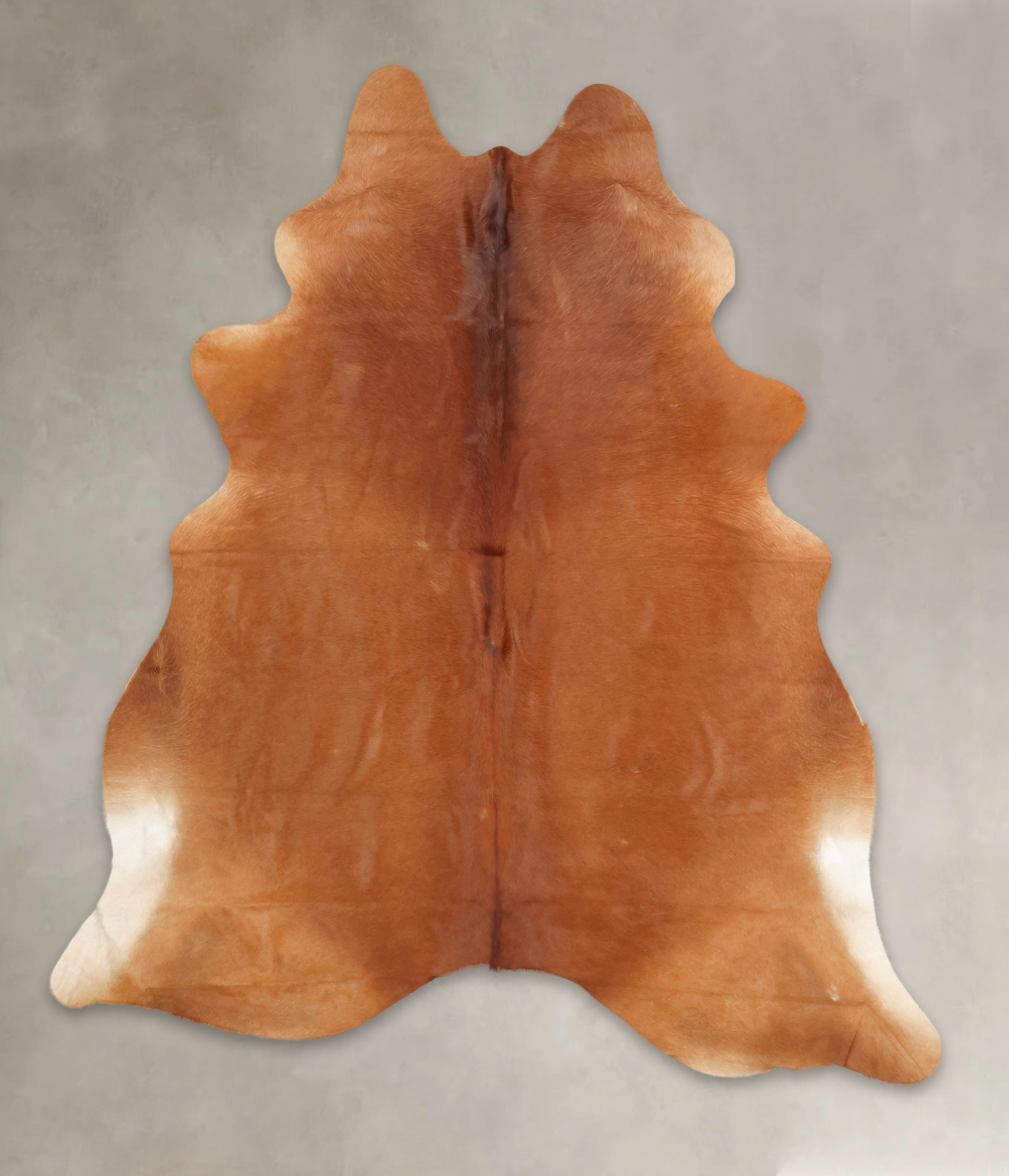 Solid Brown Cowhide Rug #B2249