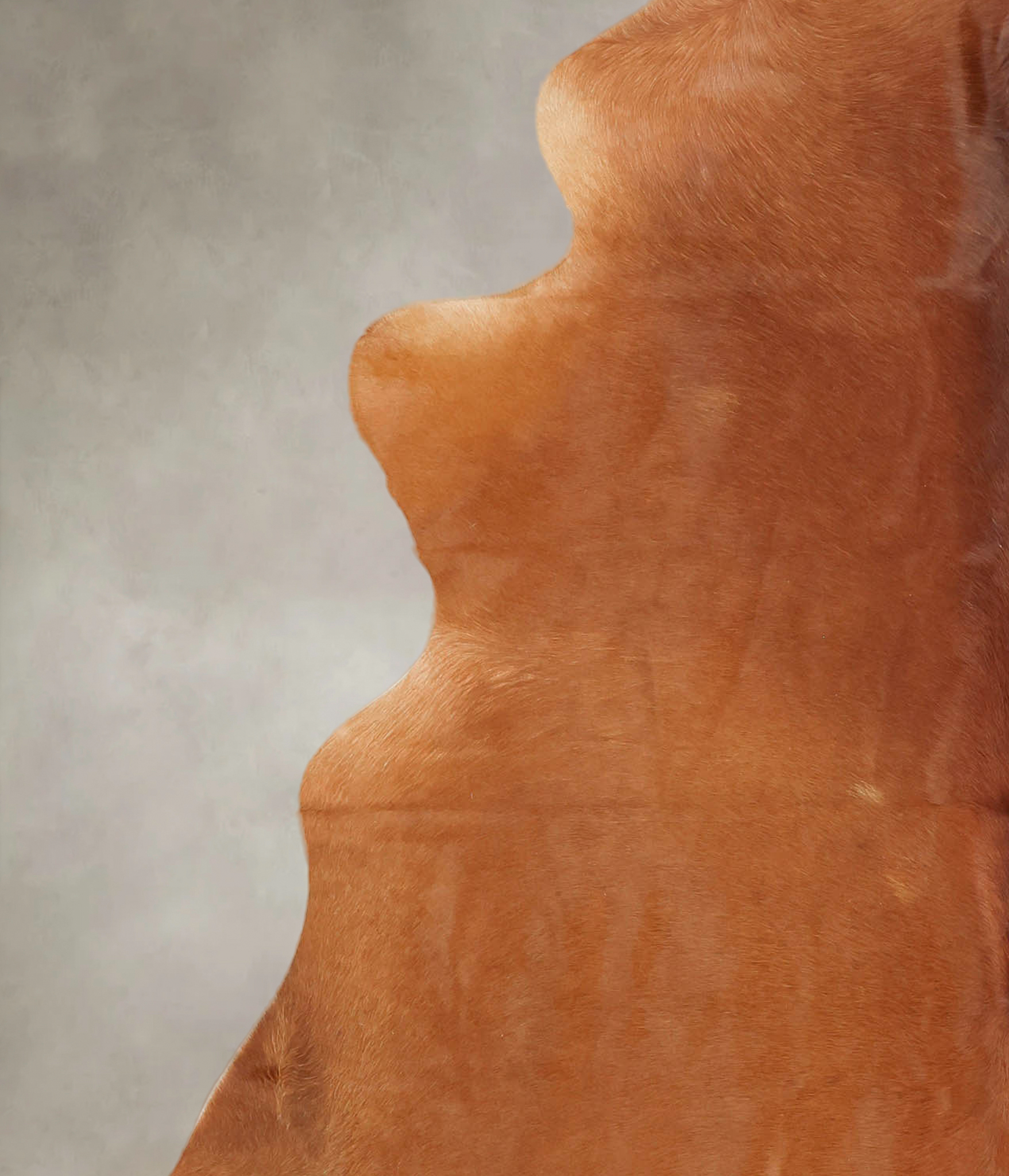 Solid Brown Cowhide Rug #B2249