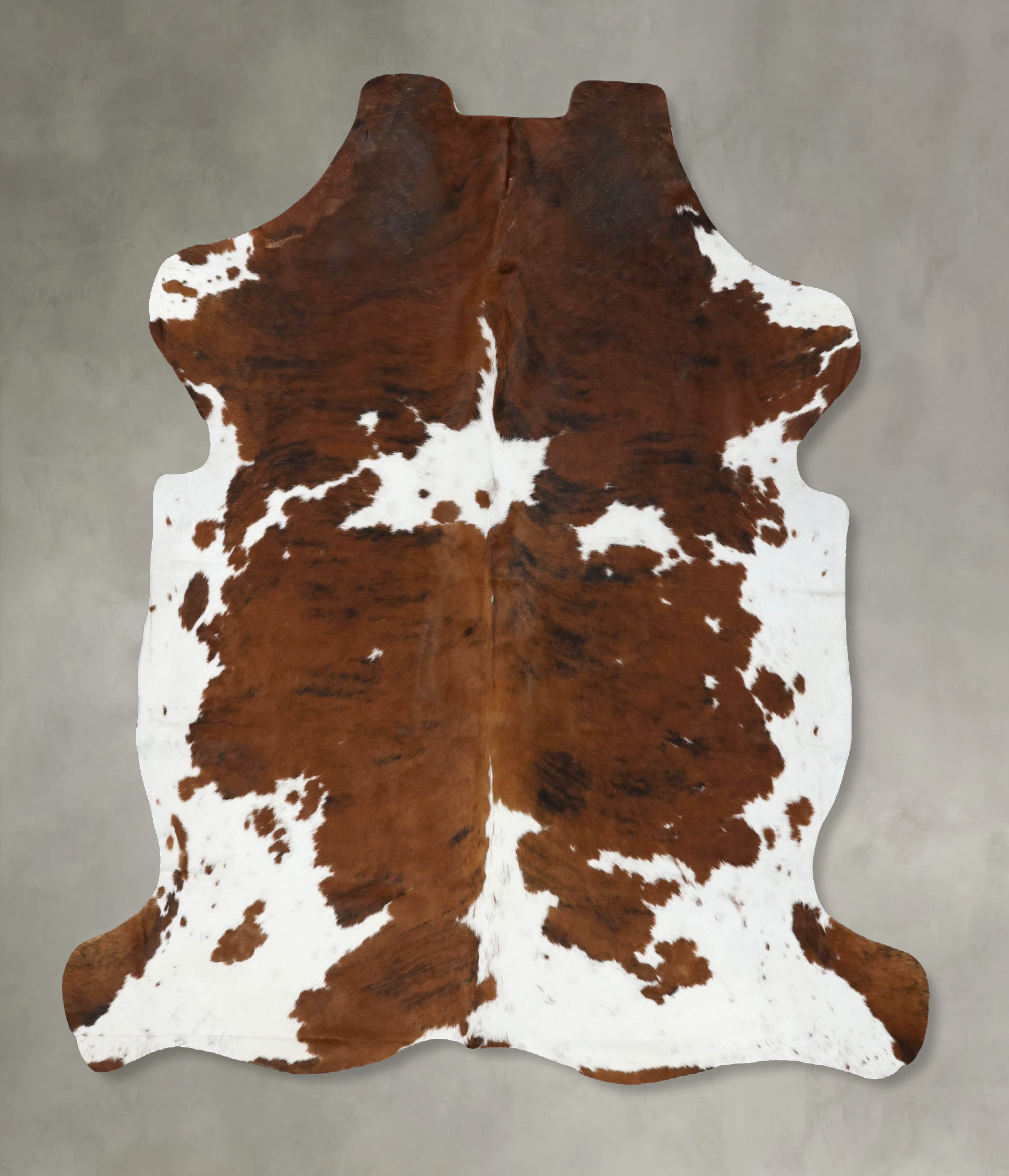Tricolor Cowhide Rug #B22496