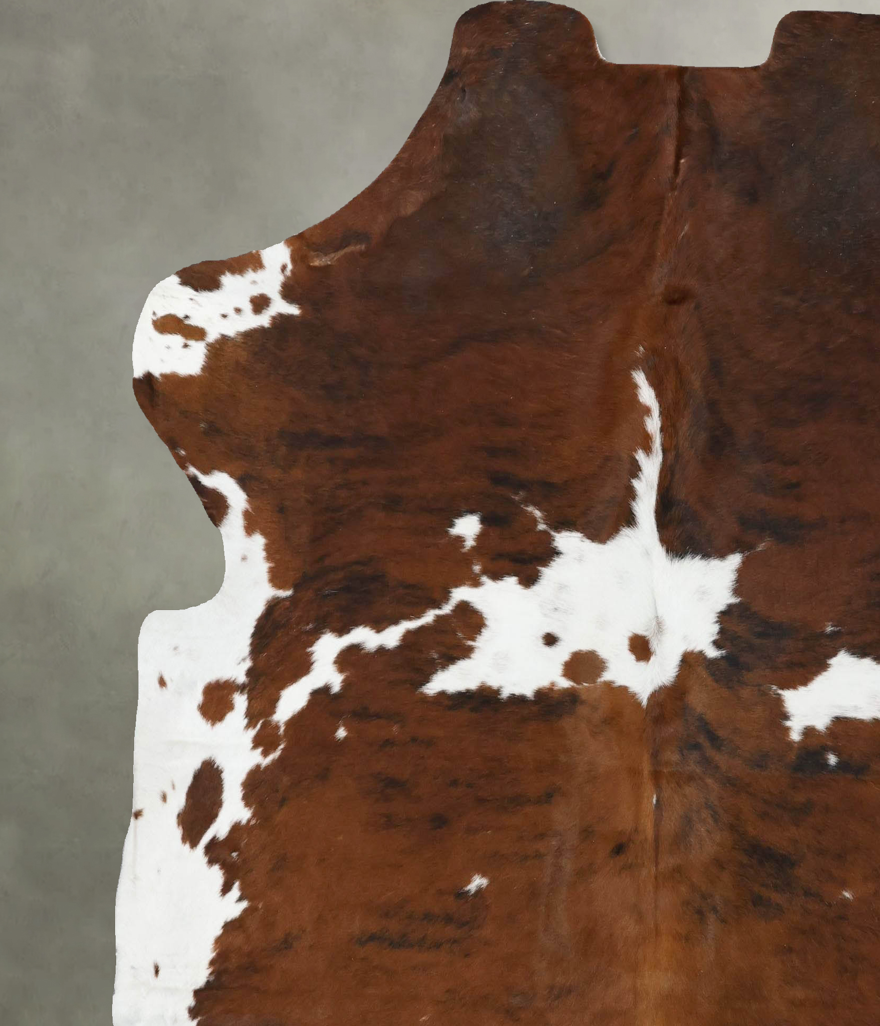 Tricolor Cowhide Rug #B22496