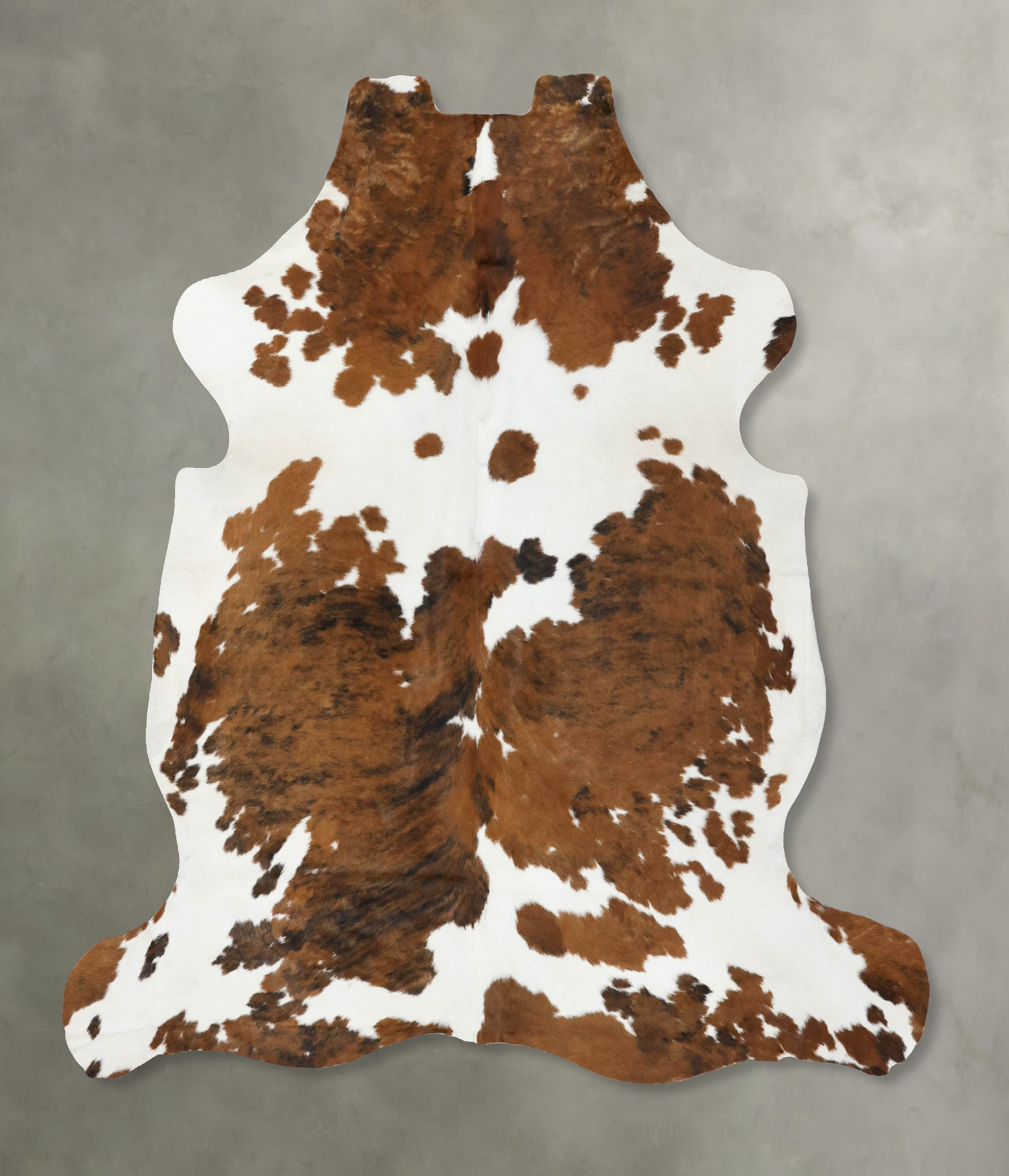 Tricolor Cowhide Rug #B22497
