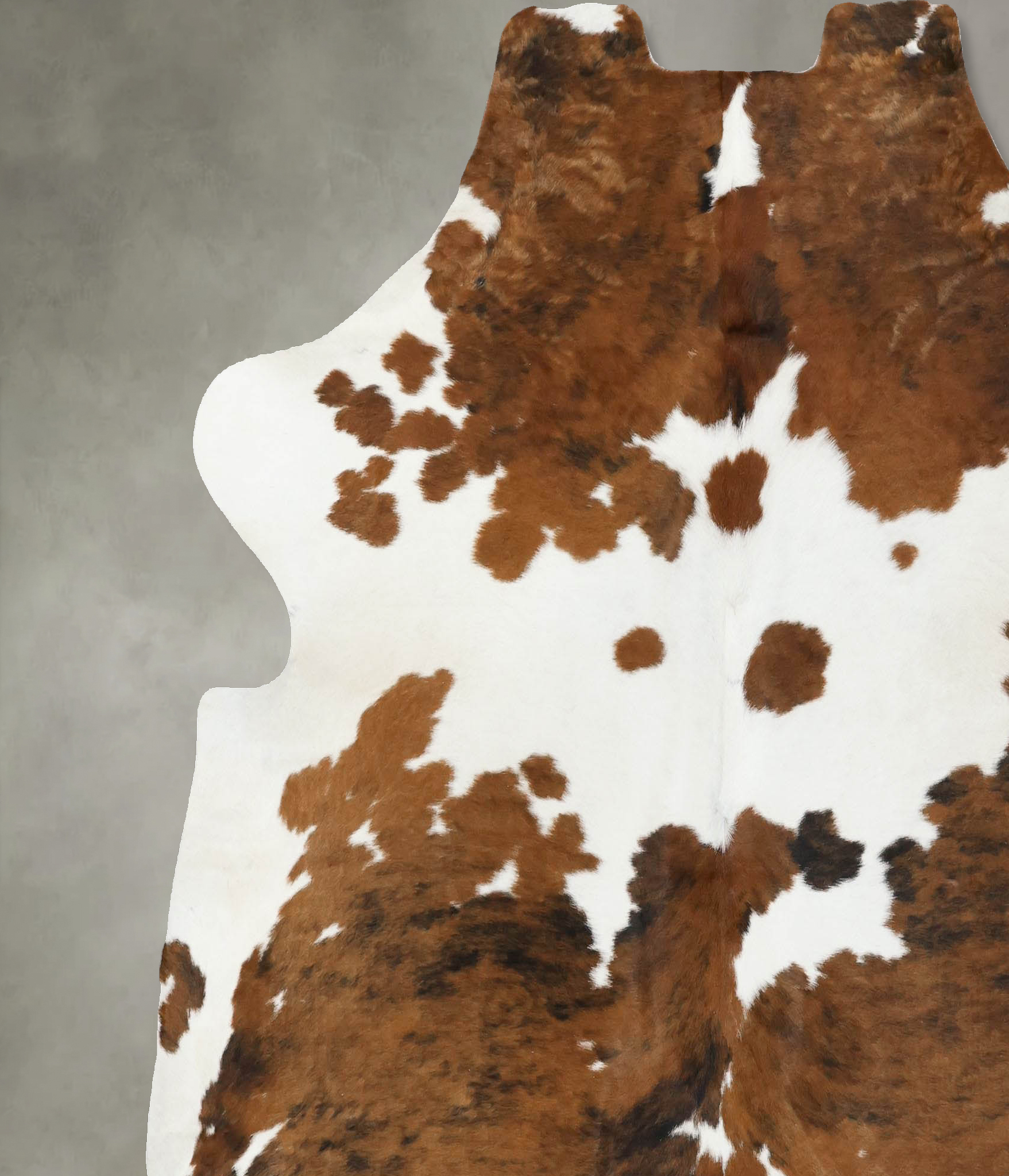 Tricolor Cowhide Rug #B22497