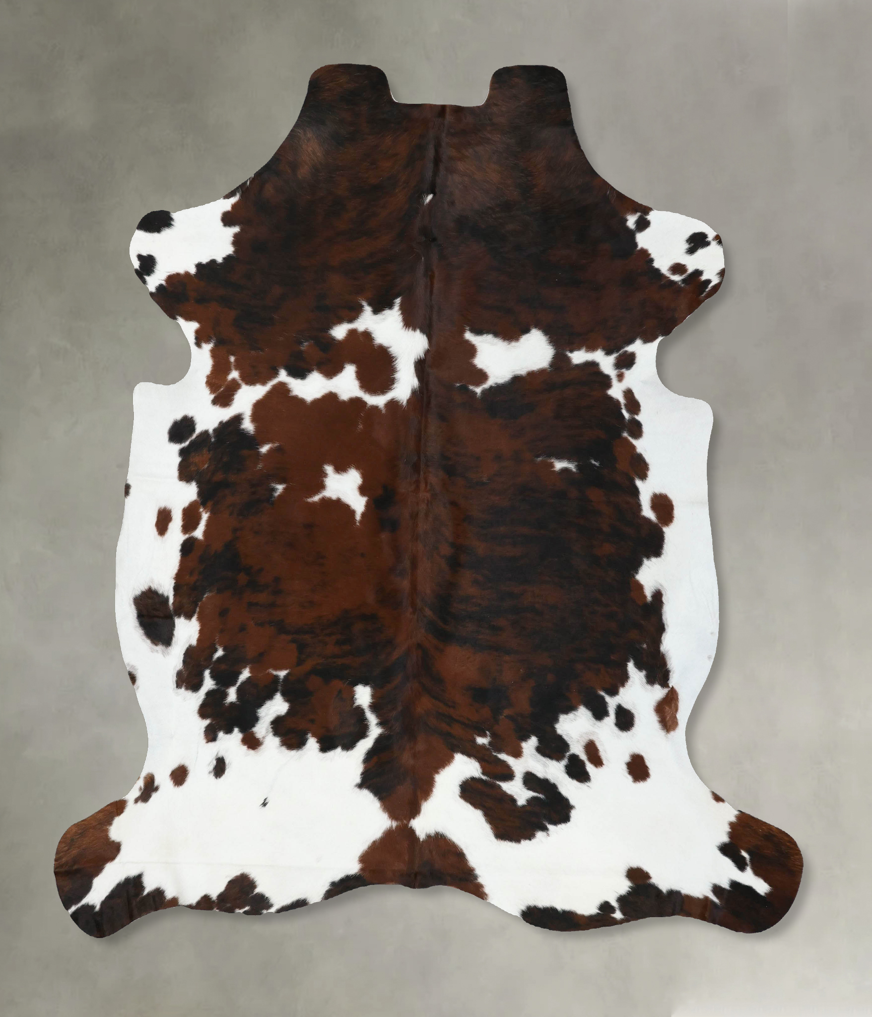 Tricolor Cowhide Rug #B22498