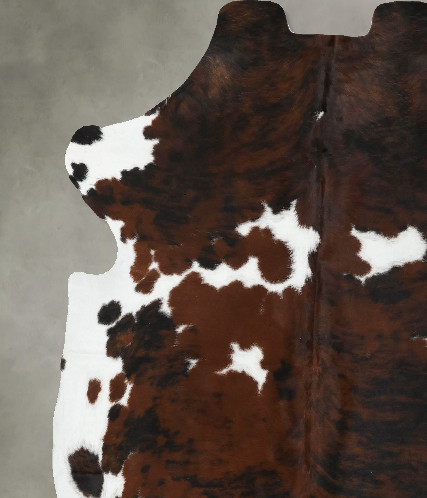 Tricolor Cowhide Rug #B22498