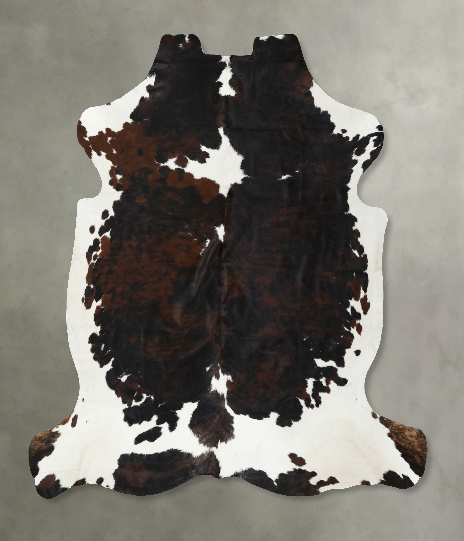 Tricolor Cowhide Rug #B22499