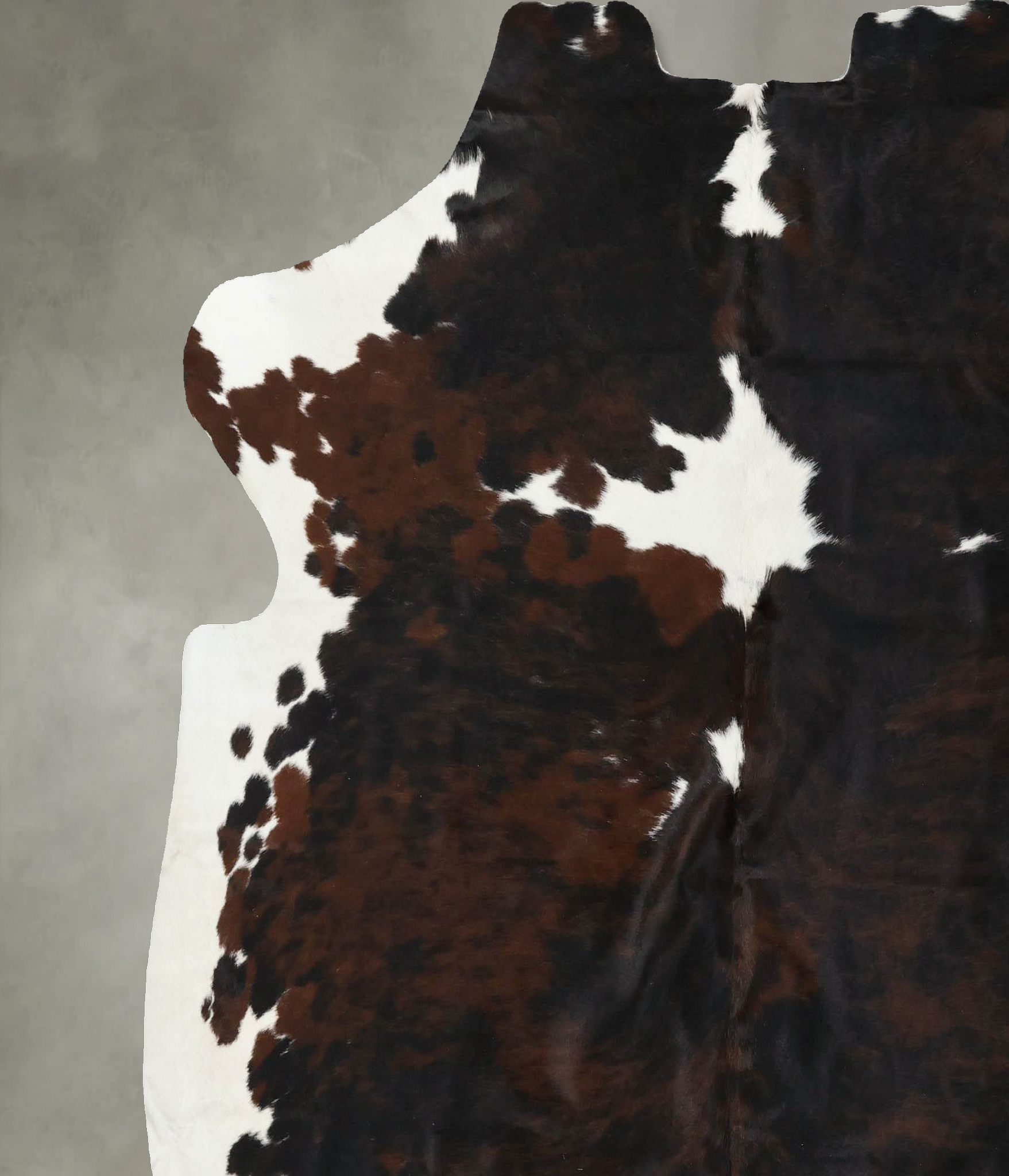 Tricolor Cowhide Rug #B22499