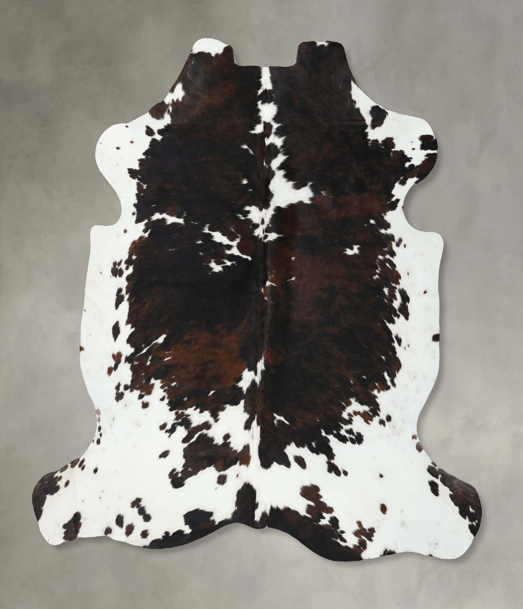 Tricolor Cowhide Rug #B22501