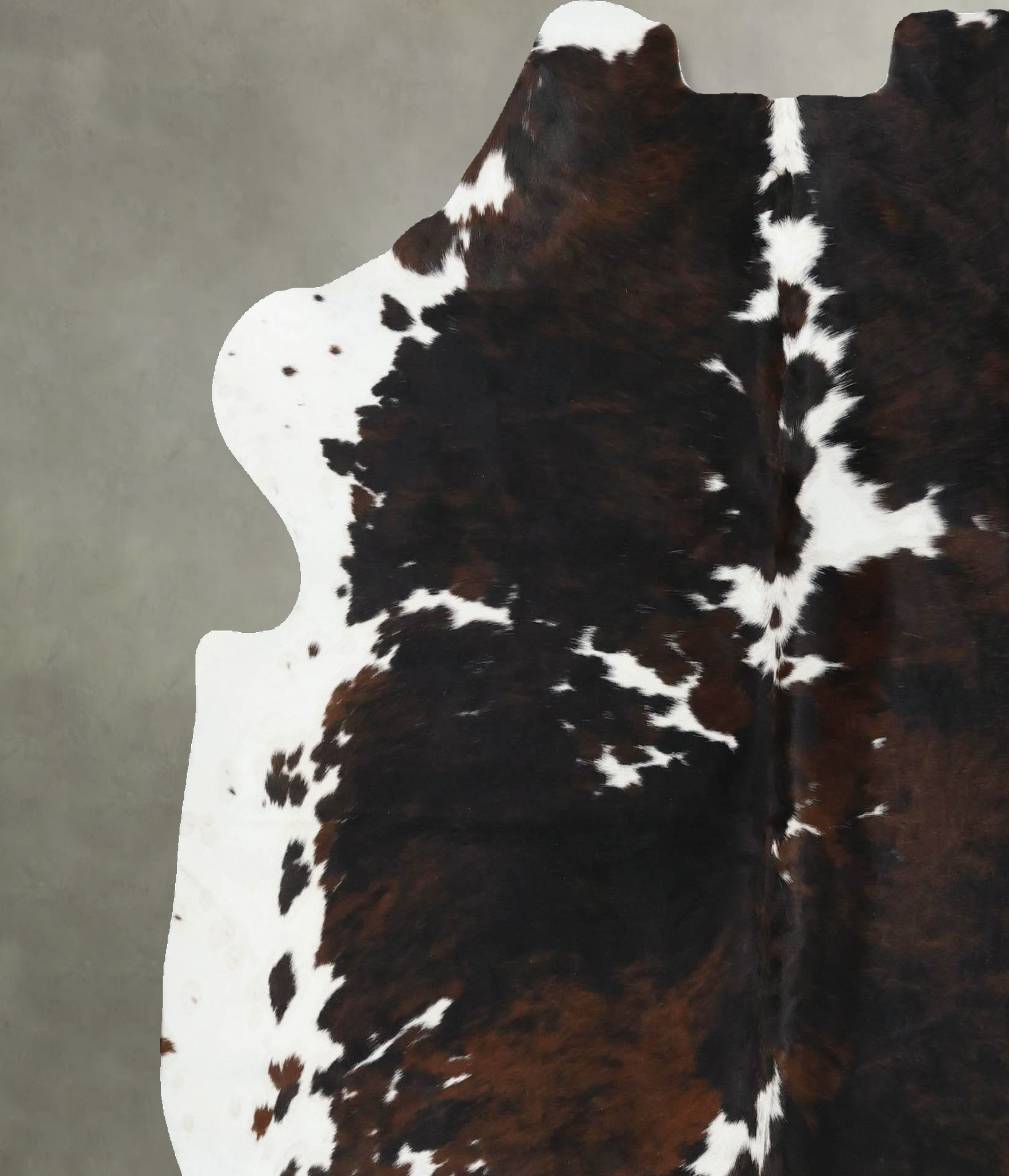 Tricolor Cowhide Rug #B22501