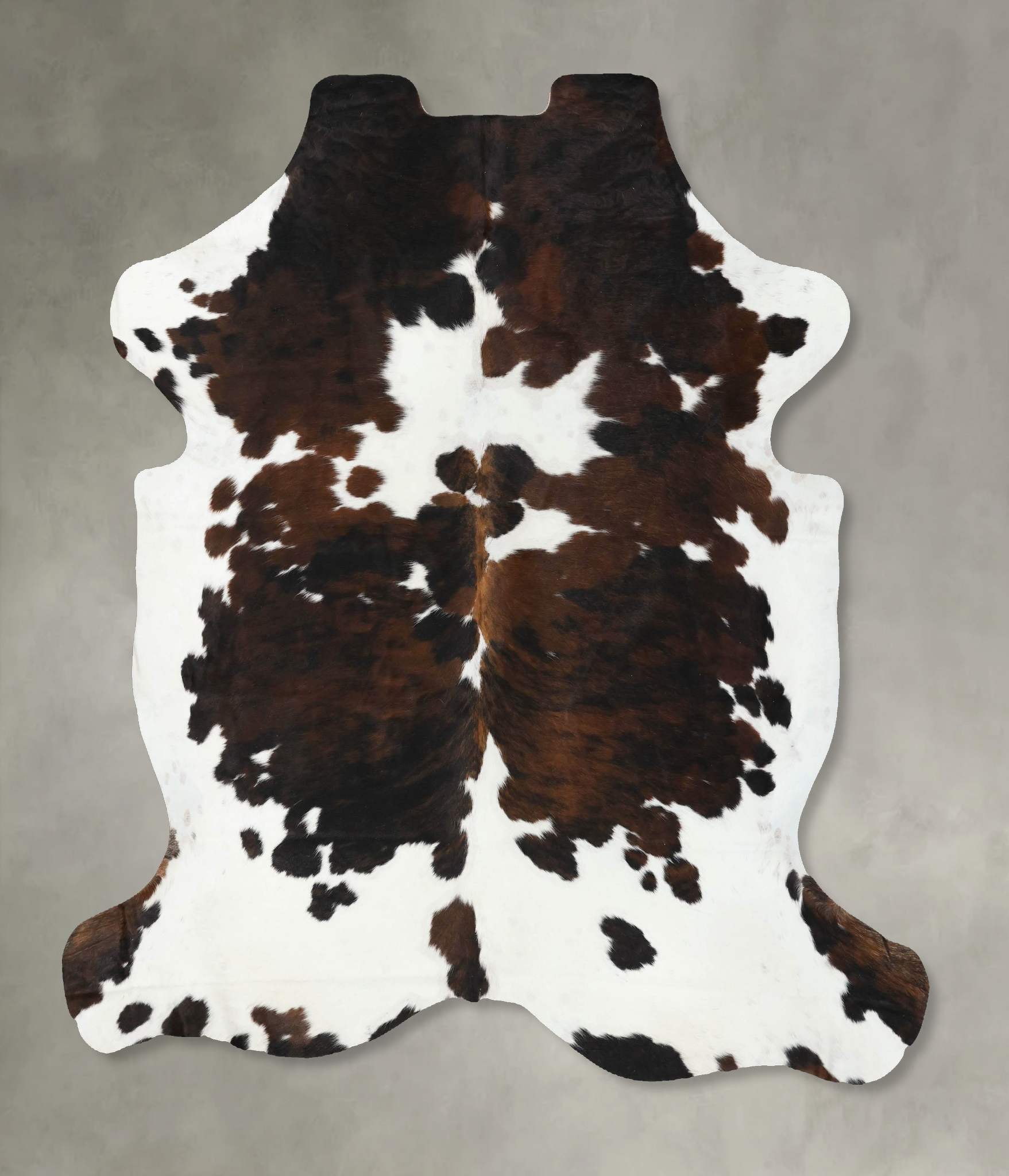 Tricolor Cowhide Rug #B22502