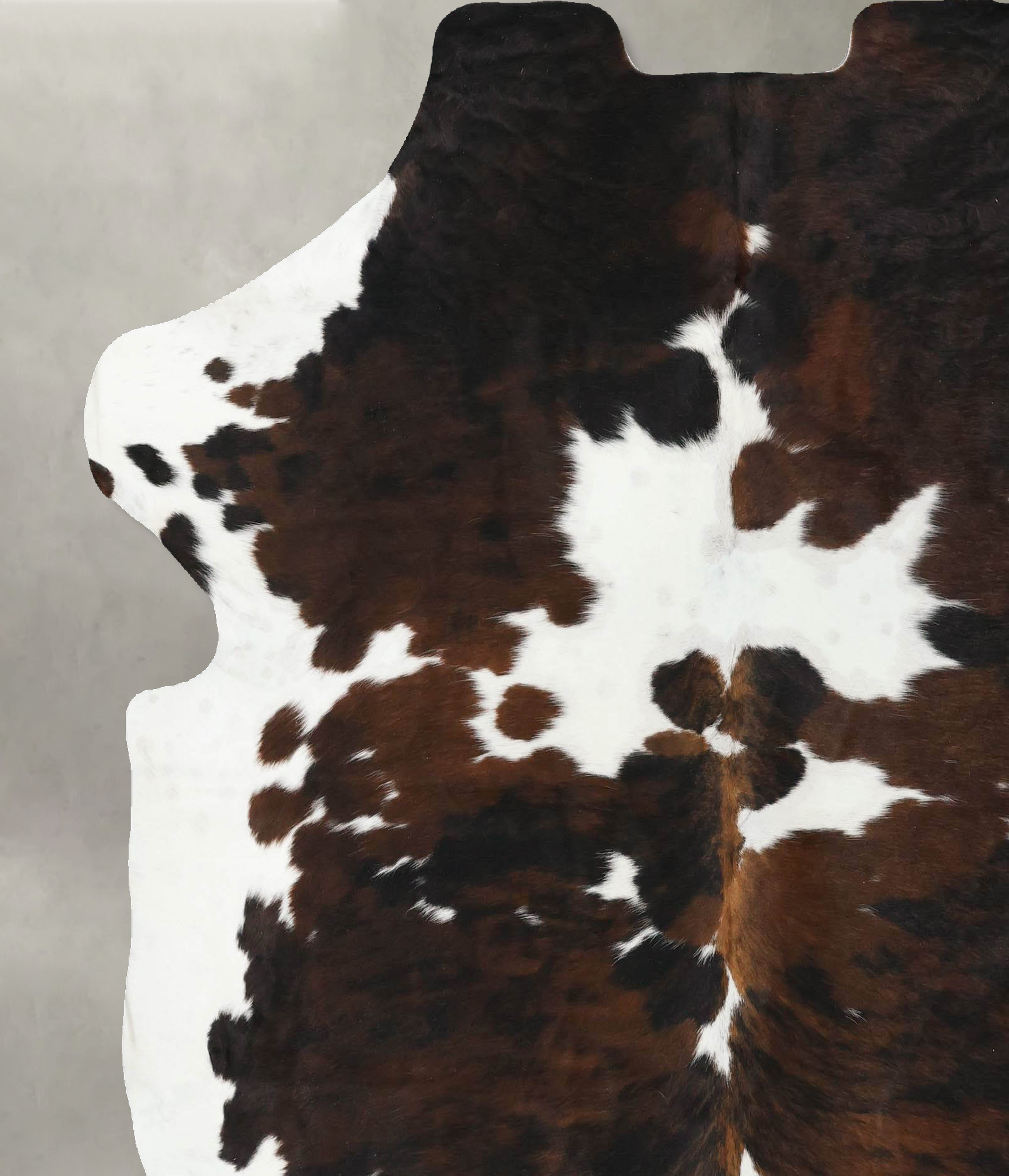 Tricolor Cowhide Rug #B22502