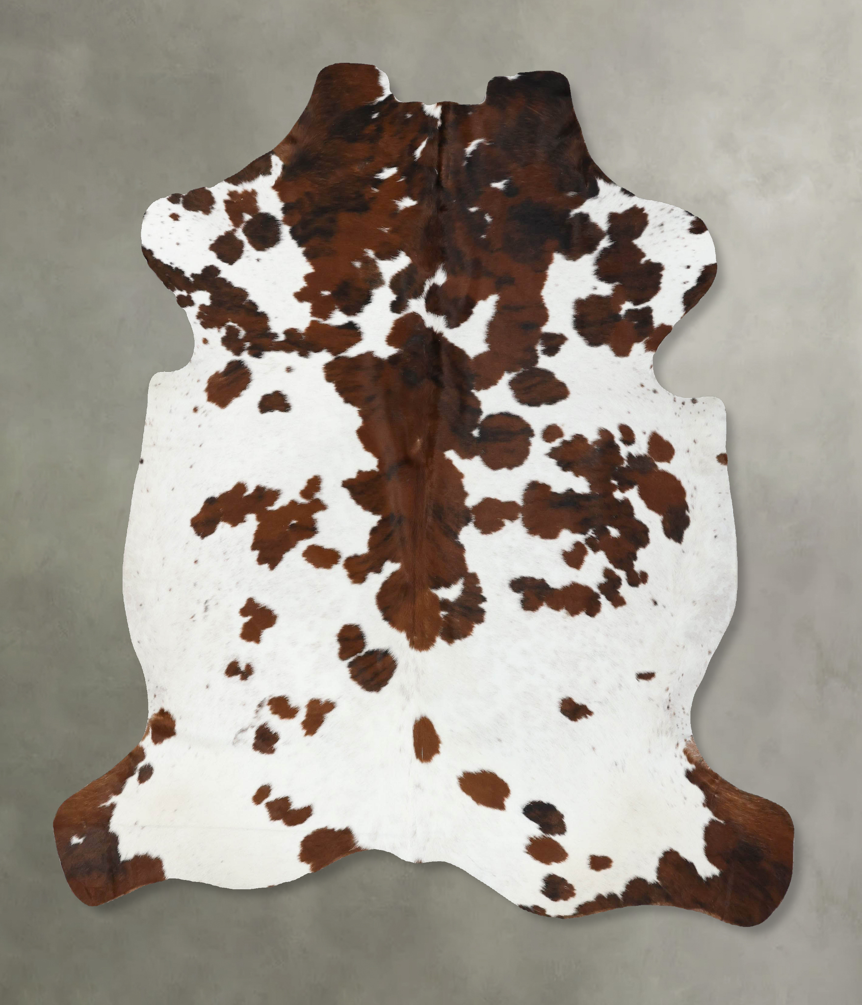 Tricolor Cowhide Rug #B22504