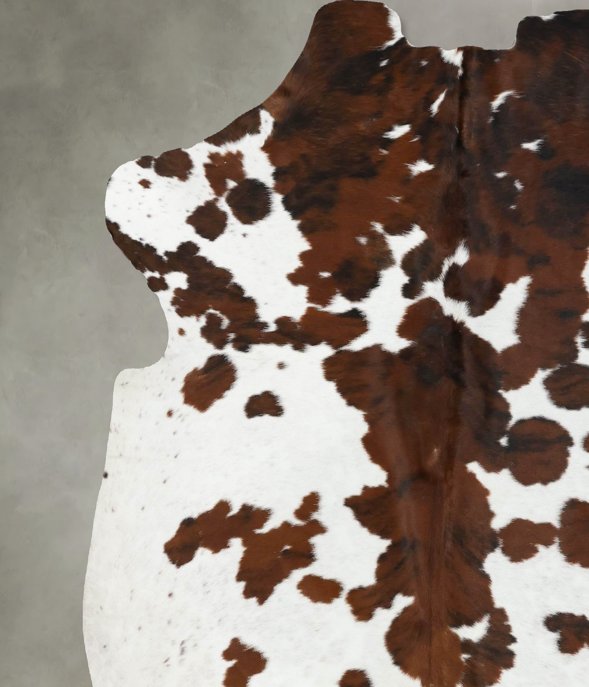 Tricolor X-Large European Cowhide Rug 7'2"H x 6'4"W #B22504 by Hudson Hides
