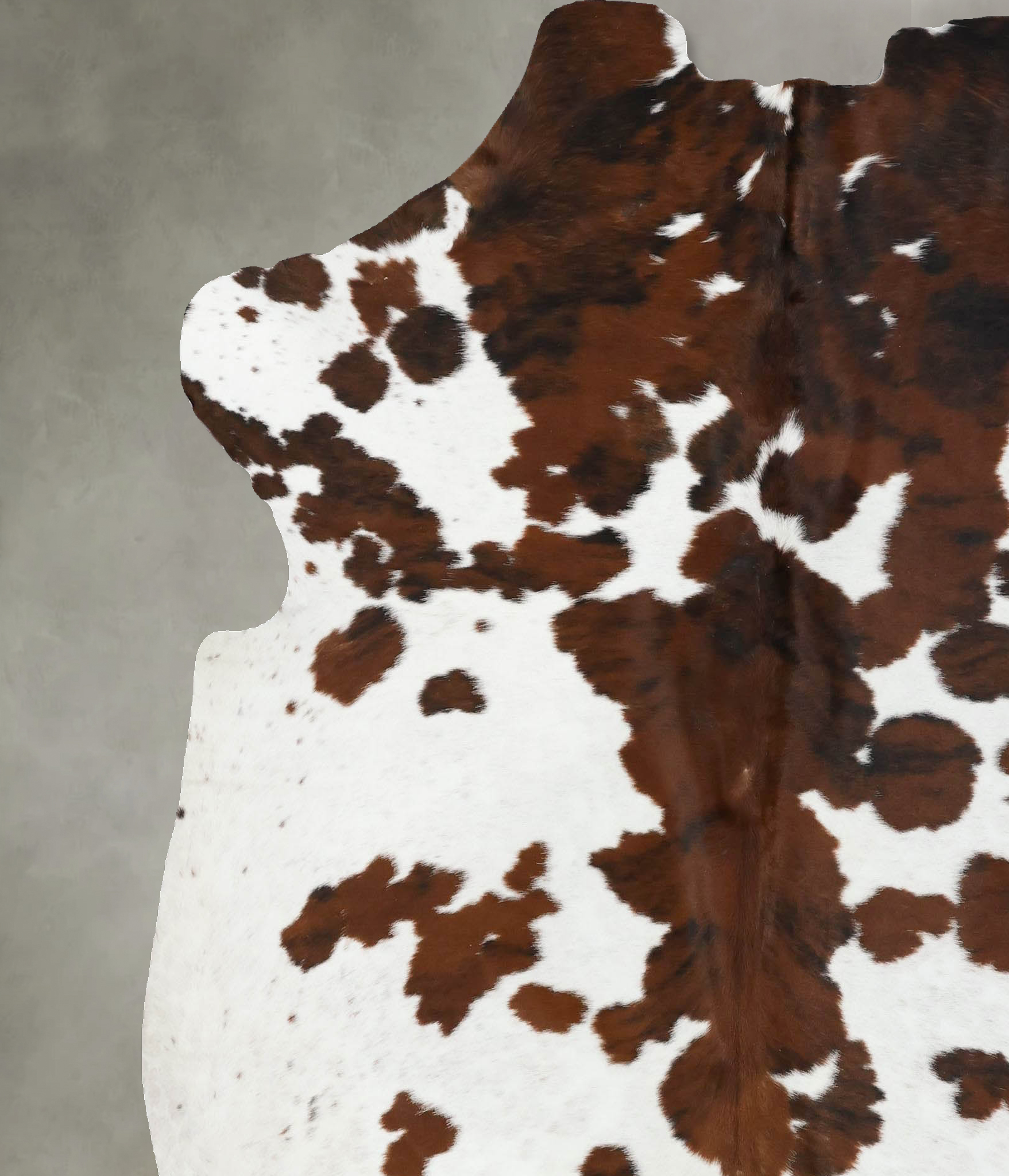 Tricolor Cowhide Rug #B22504