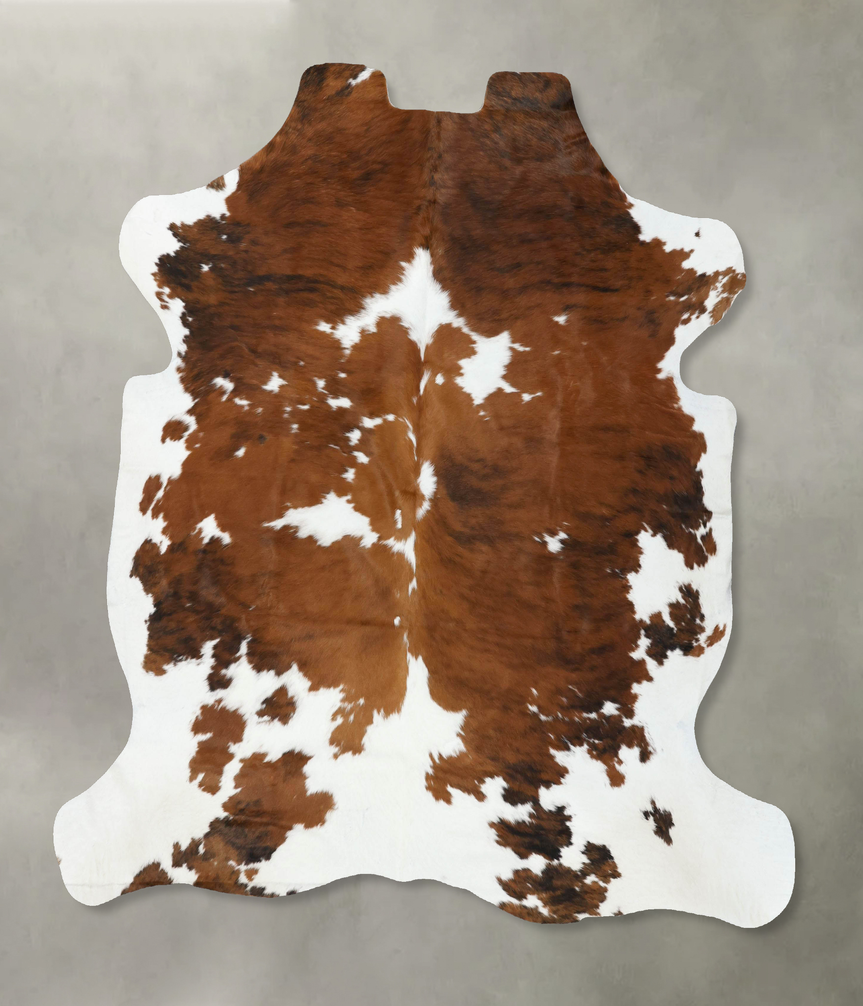 Tricolor Cowhide Rug #B22505