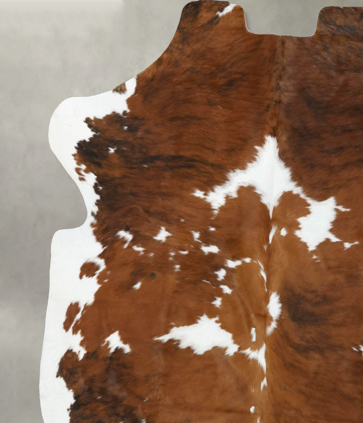 Tricolor X-Large European Cowhide Rug 7'2"H x 6'7"W #B22505 by Hudson Hides