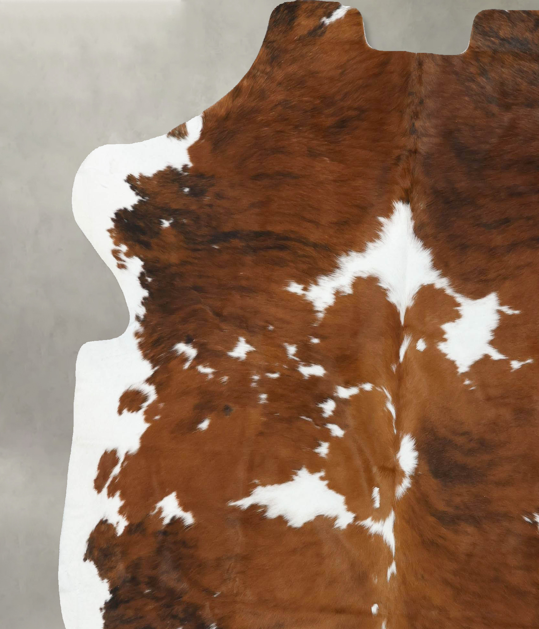 Tricolor Cowhide Rug #B22505