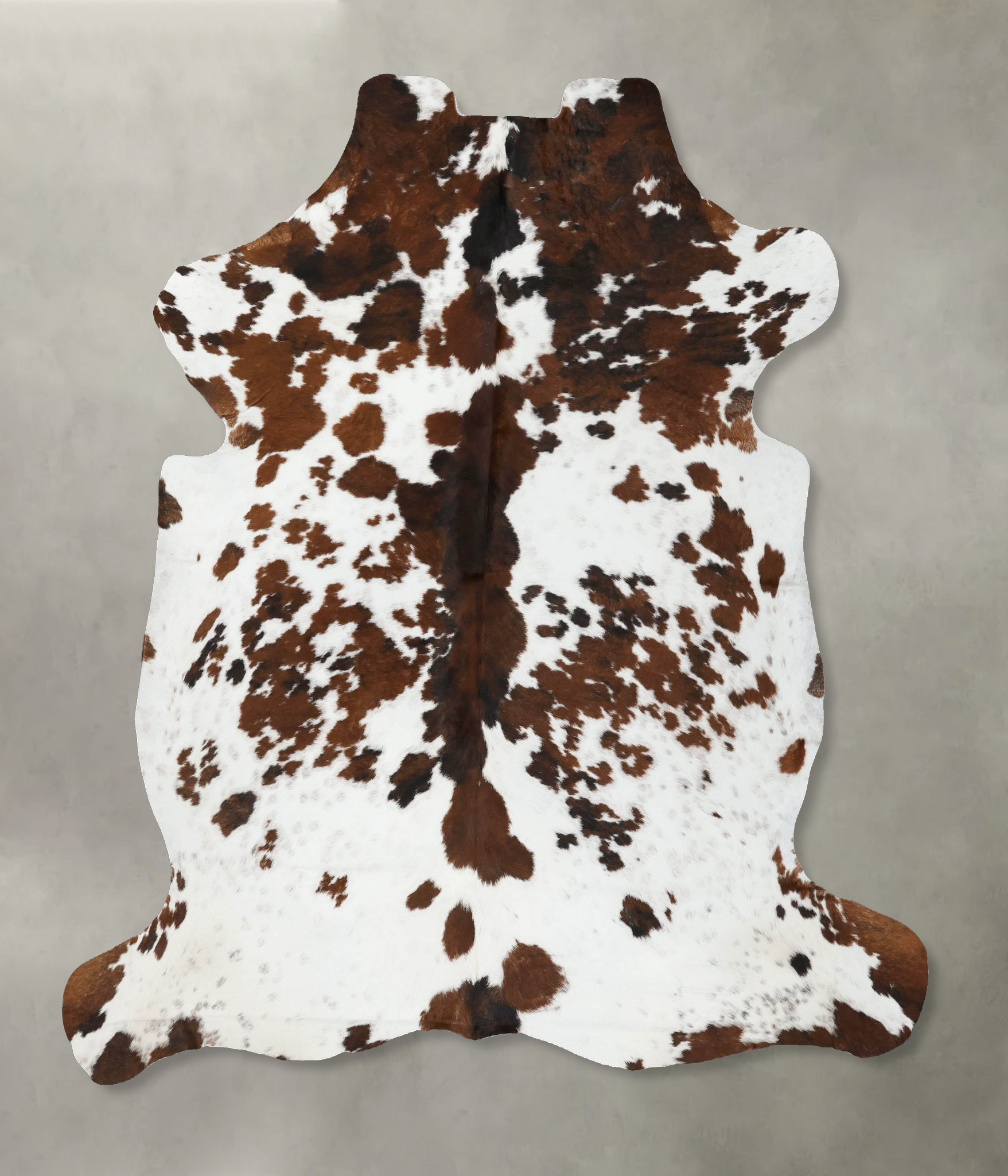 Tricolor Cowhide Rug #B22507