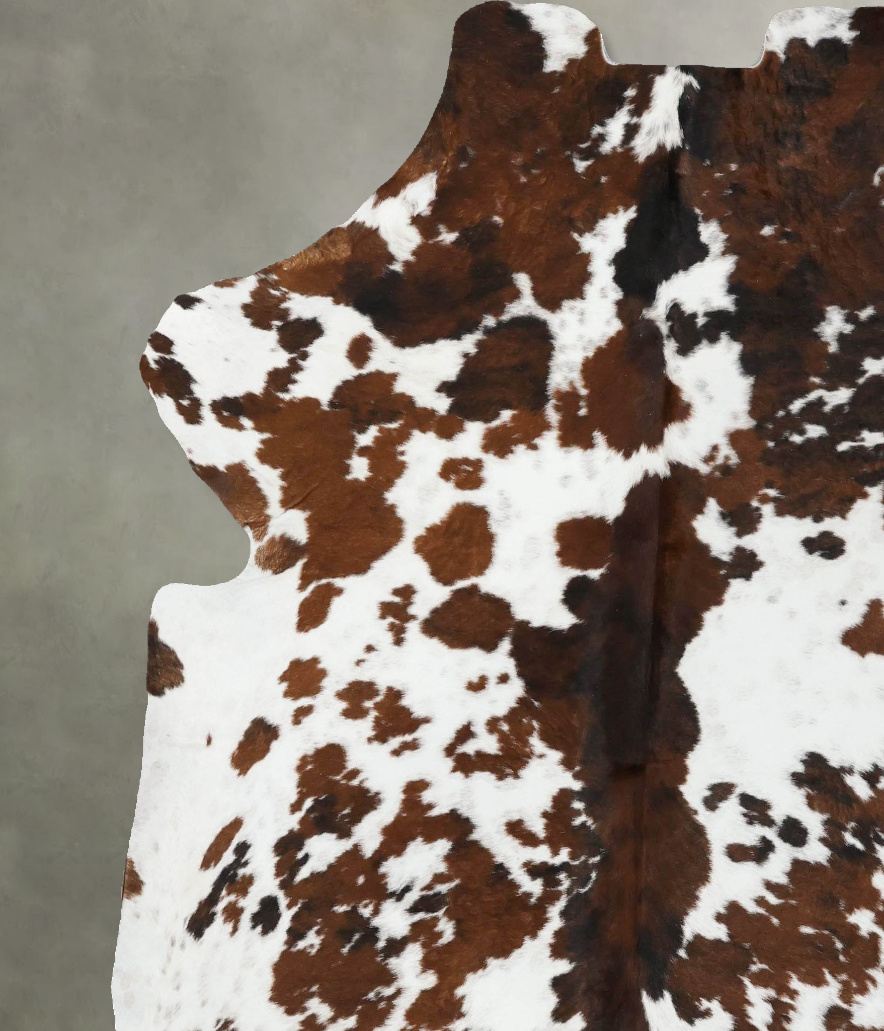 Tricolor Cowhide Rug #B22507