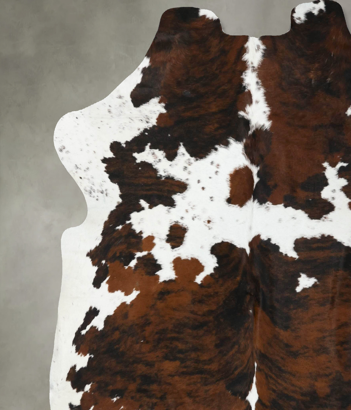 Tricolor XX-Large European Cowhide Rug 7'3"H x 6'11"W #B22509 by Hudson Hides